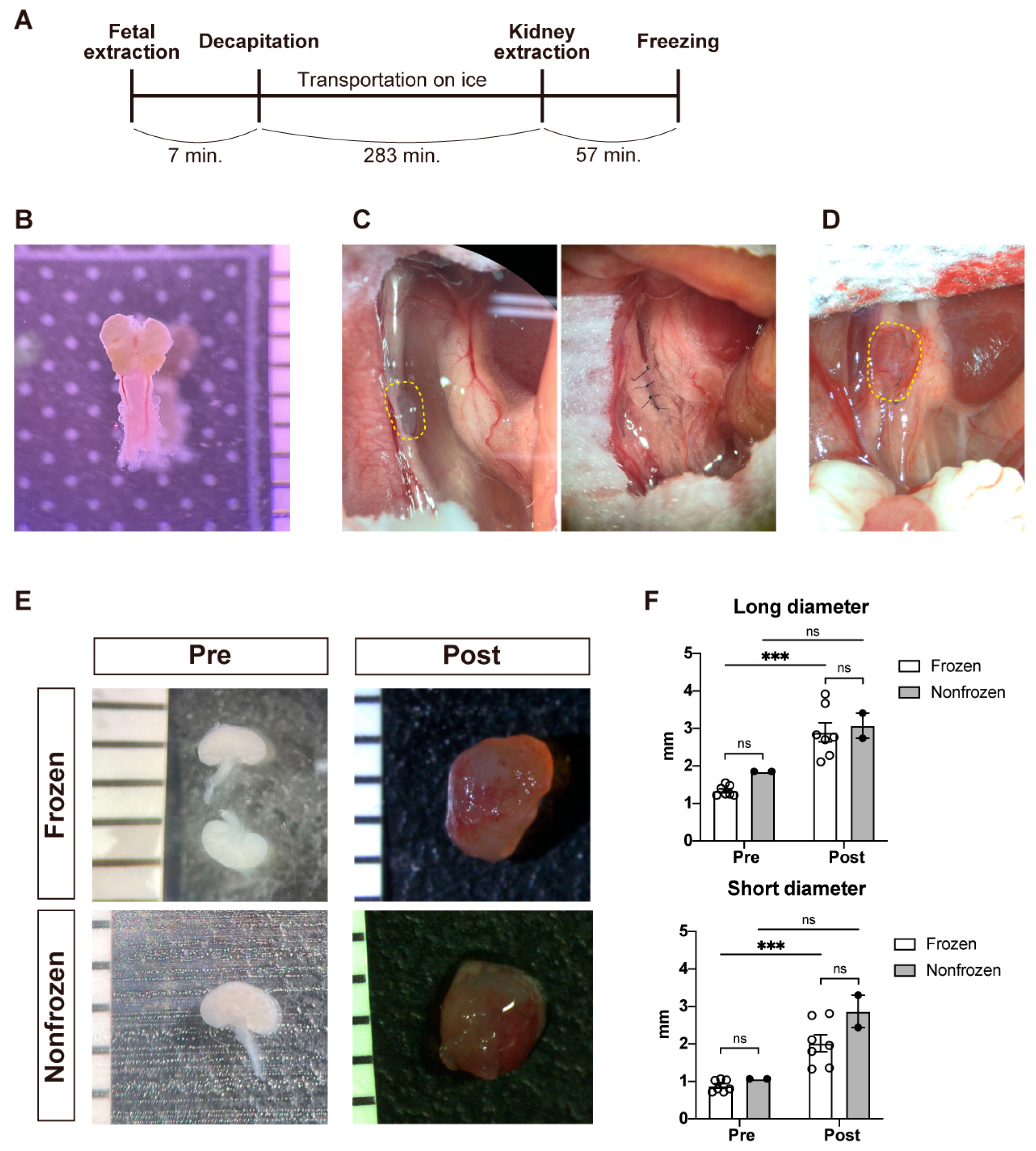 Jcm 12 02293 g001 Jcm 12 02293 g001