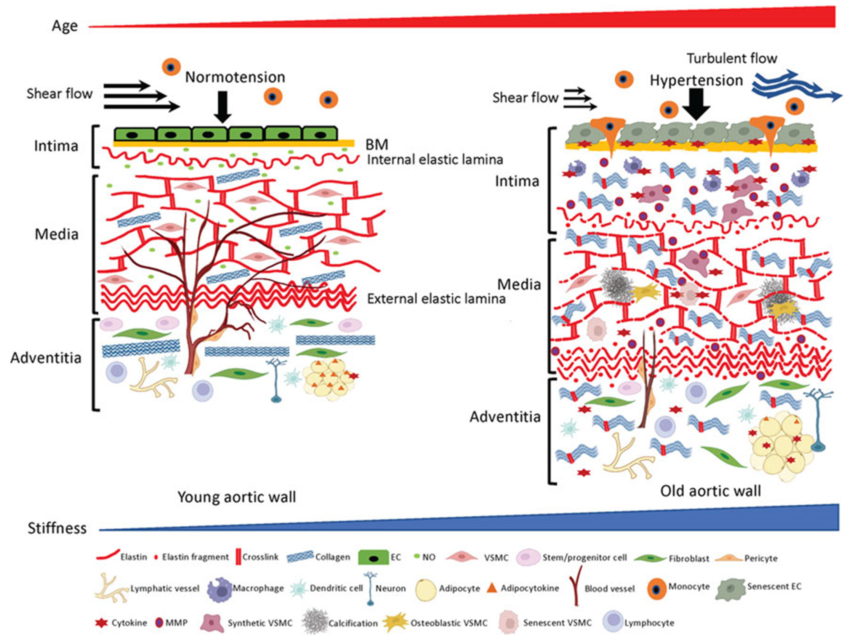 Jcm 12 02321 g002 Jcm 12 02321 g002