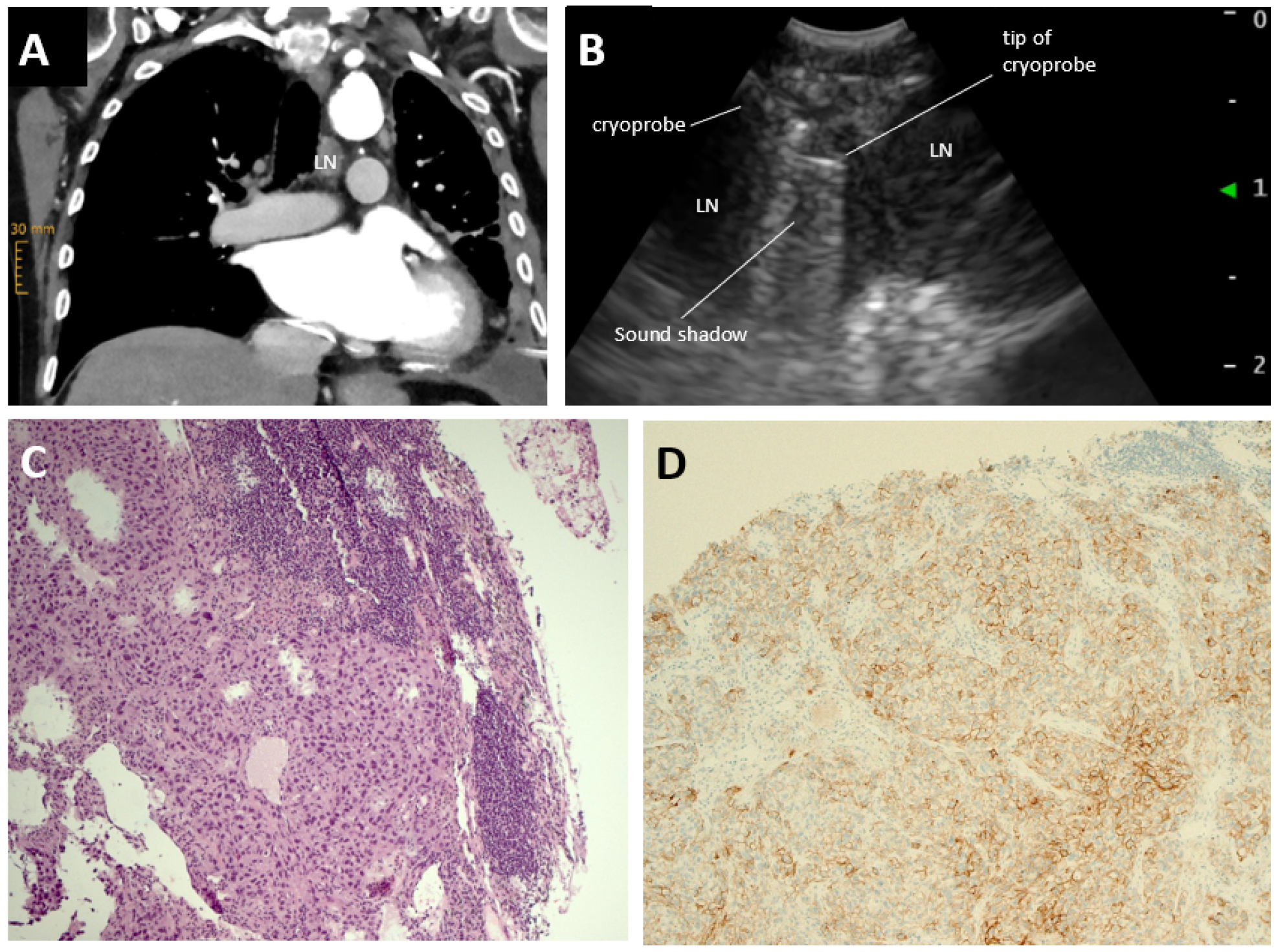 Jcm 12 02355 g001 Jcm 12 02355 g001