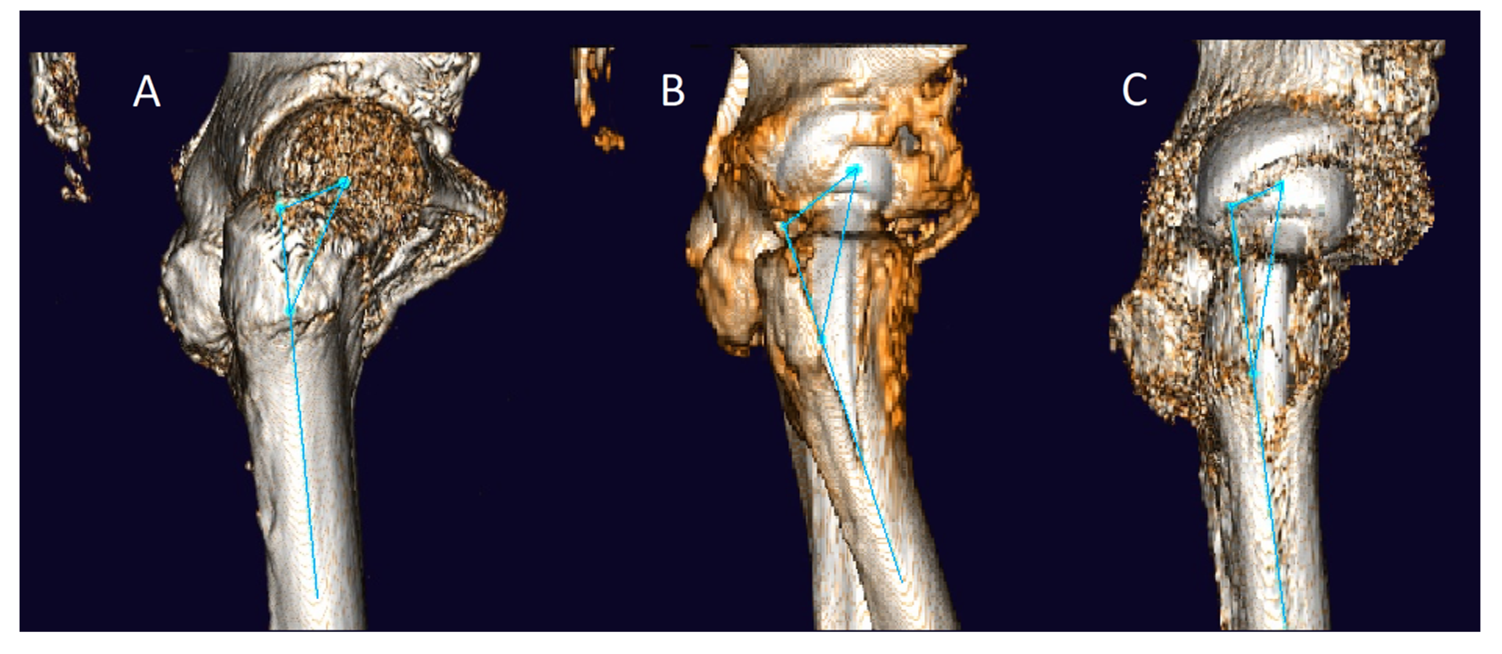 Jcm 12 02391 g001 Jcm 12 02391 g001