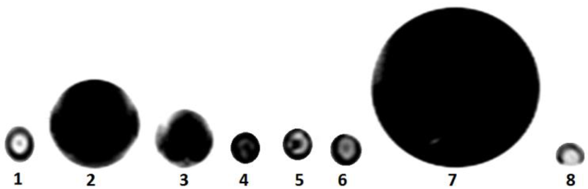 Jcm 12 02395 g004 Jcm 12 02395 g004