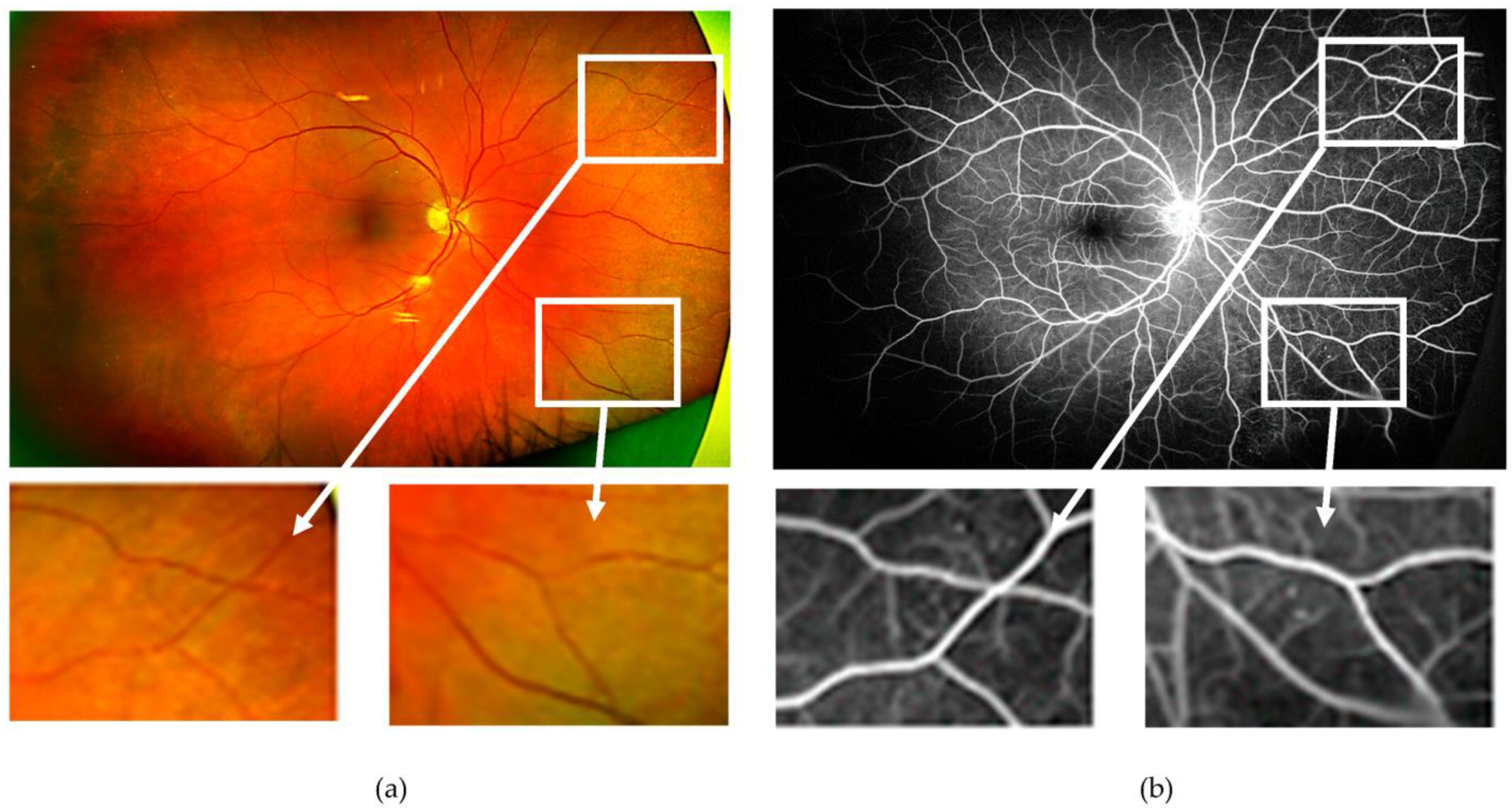 Jcm 12 02406 g001 Jcm 12 02406 g001