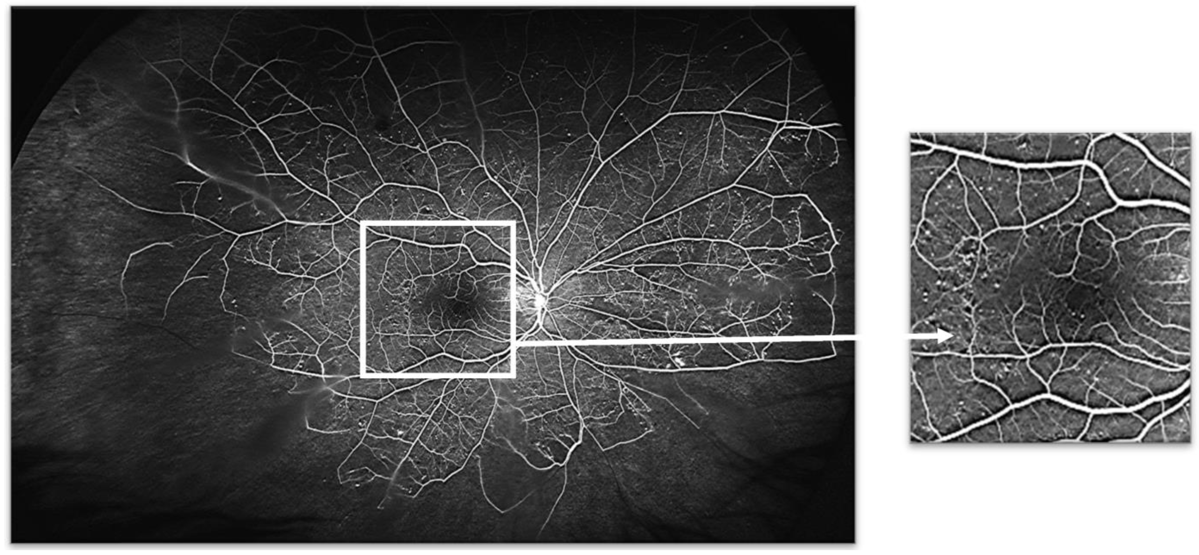 Jcm 12 02406 g003 Jcm 12 02406 g003