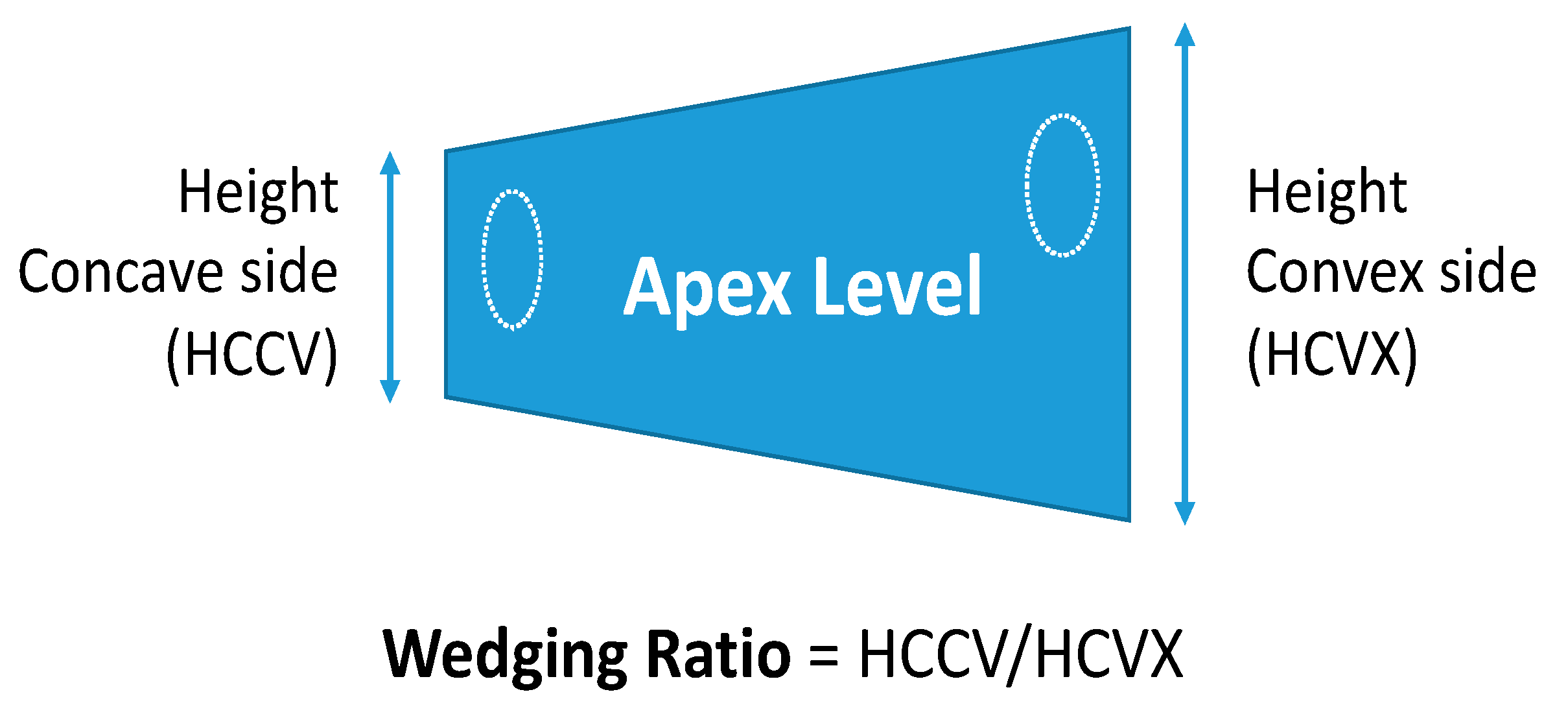 Jcm 12 02408 g001 Jcm 12 02408 g001