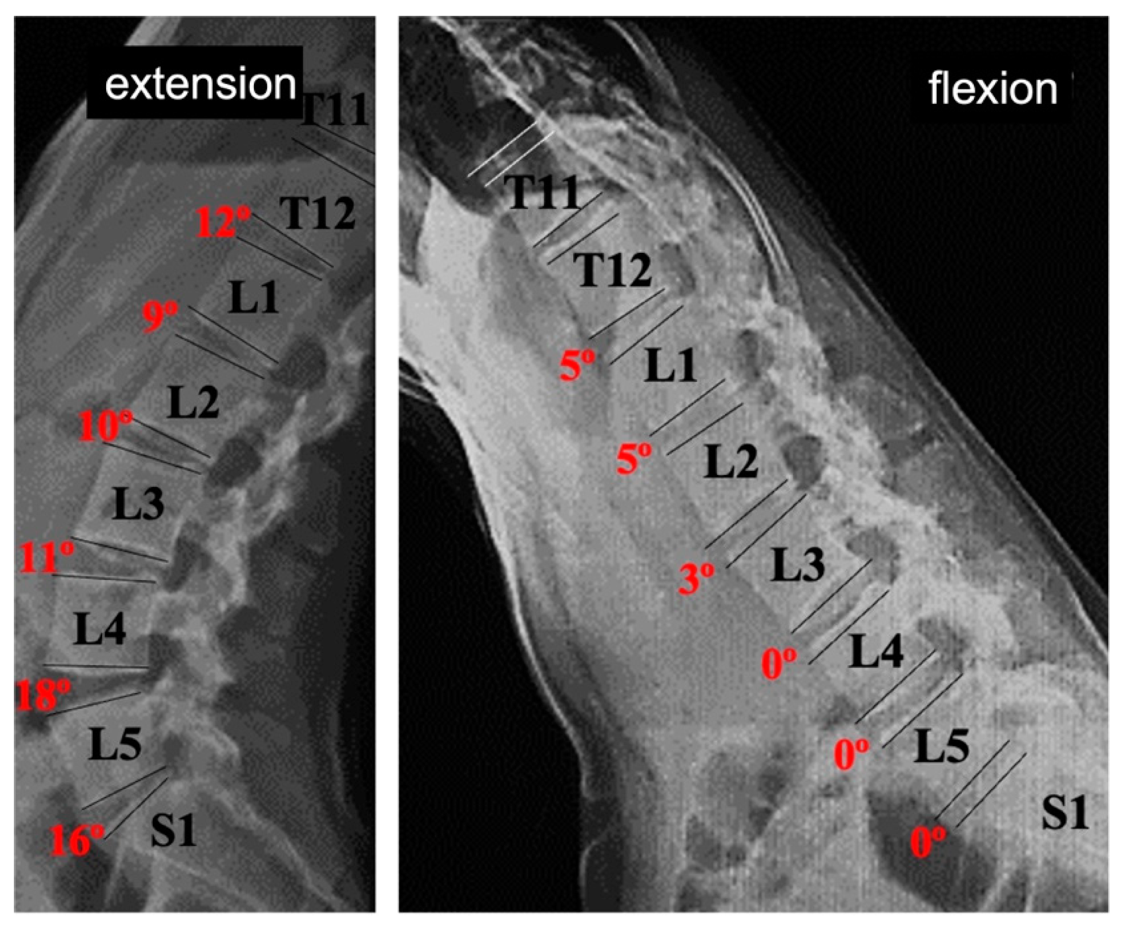 Jcm 12 02408 g006 Jcm 12 02408 g006