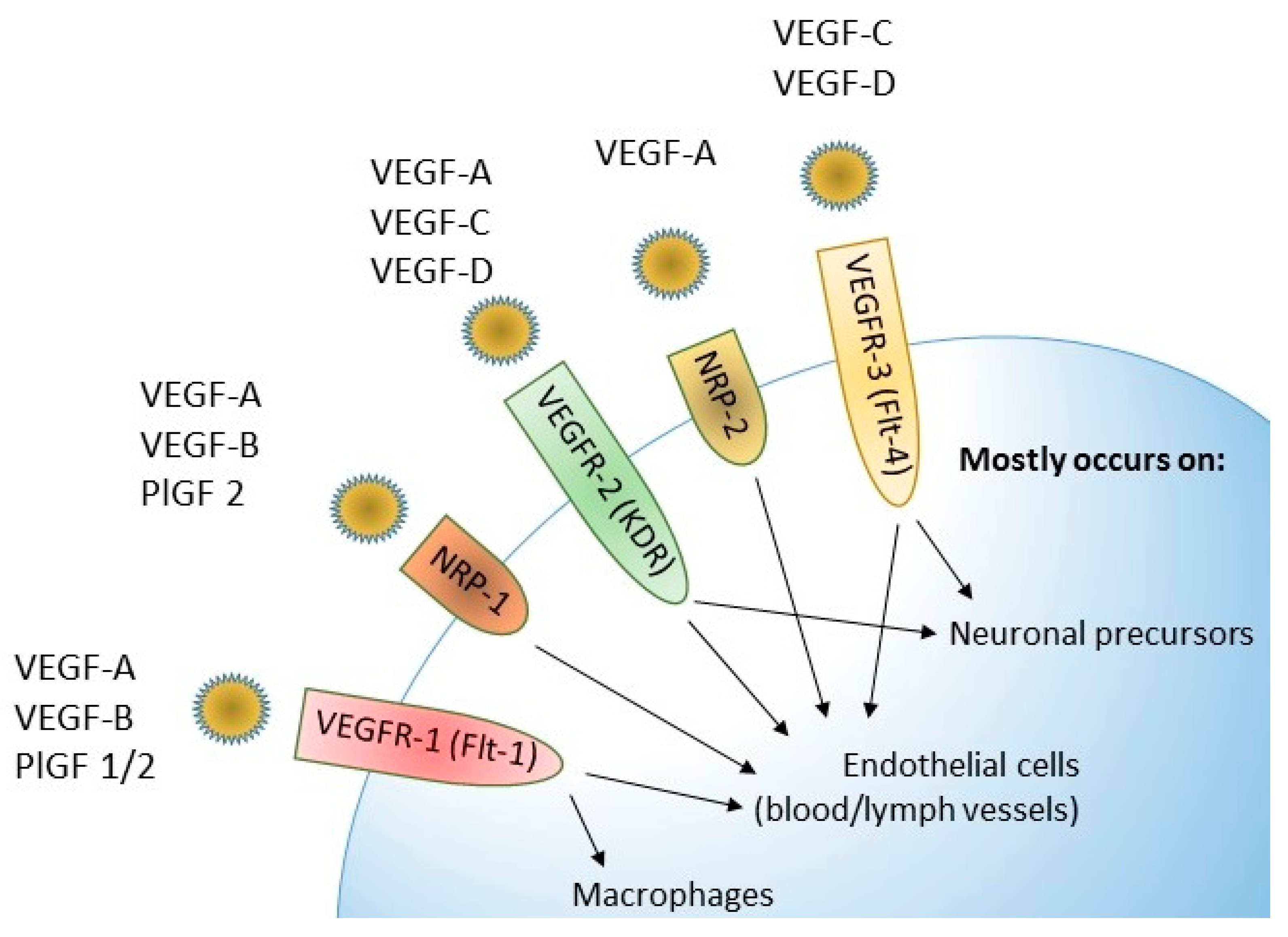 Jcm 12 02412 g004 Jcm 12 02412 g004