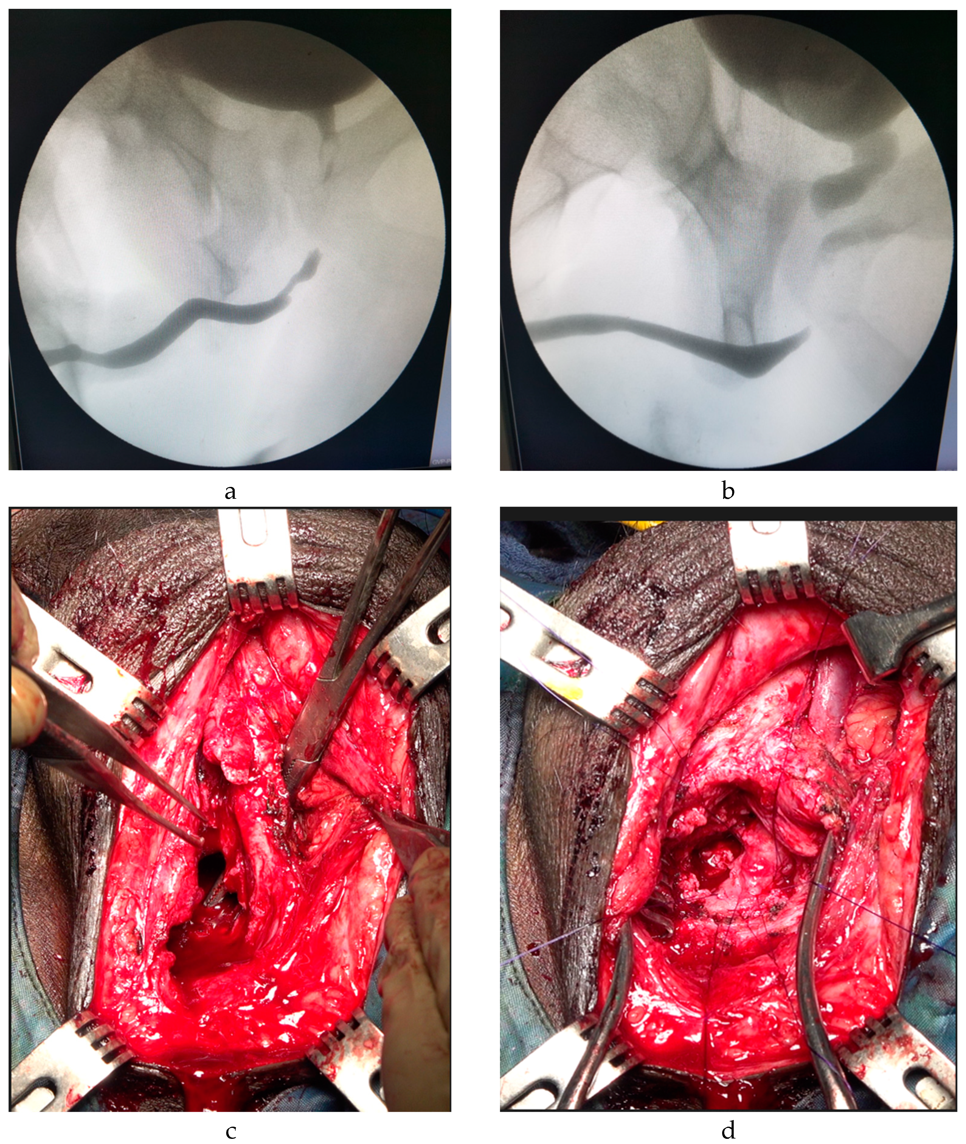 Jcm 12 02427 g002 Jcm 12 02427 g002