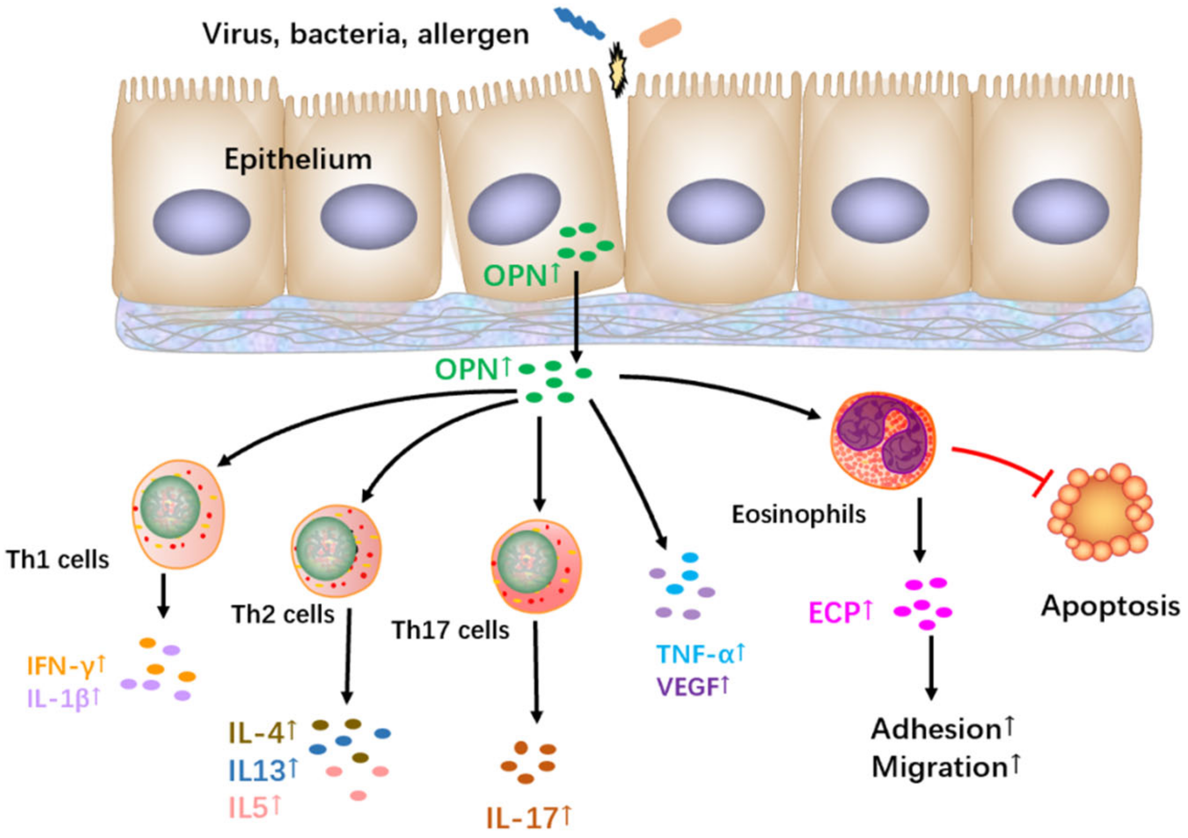 Jcm 12 02433 g003 Jcm 12 02433 g003