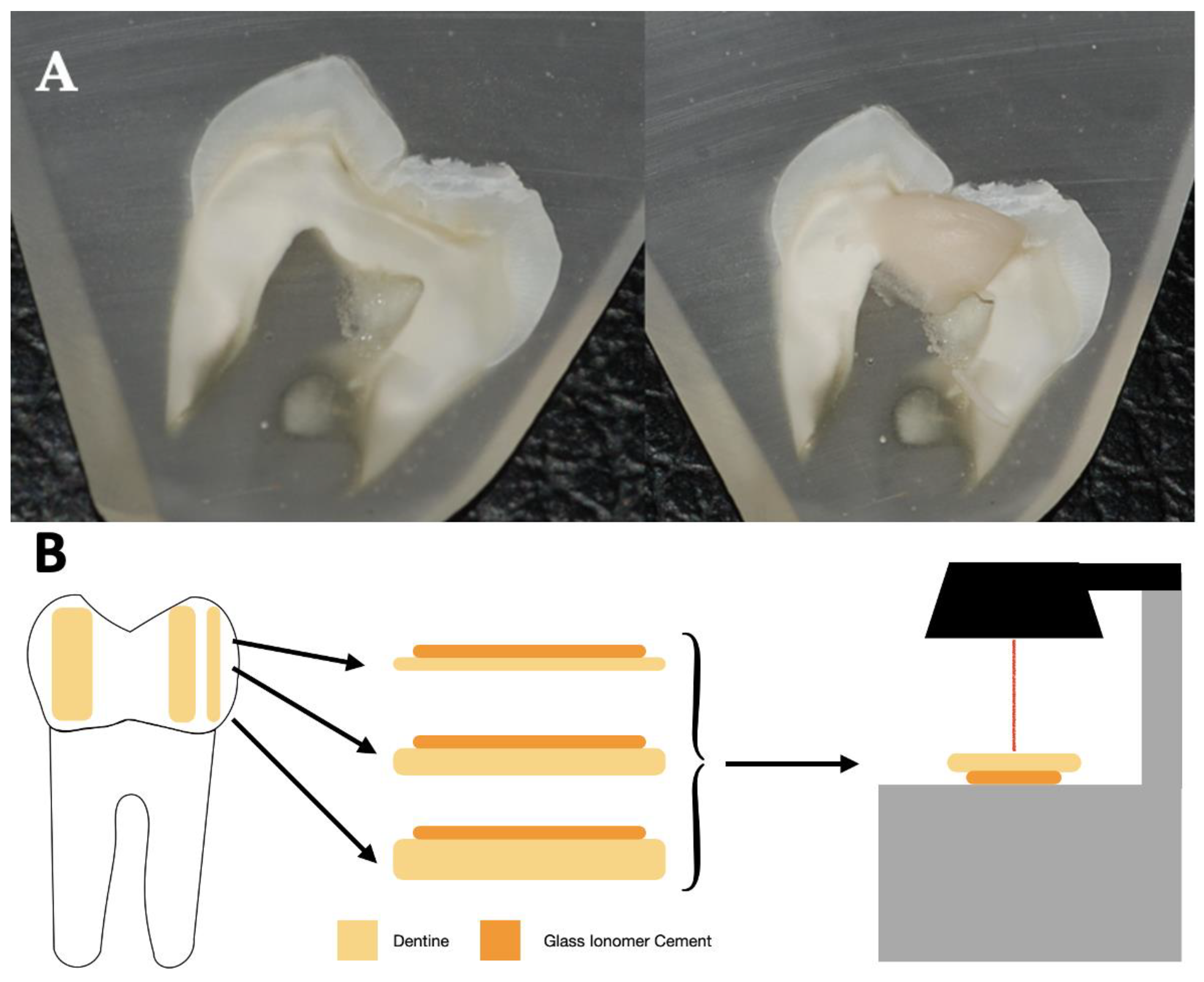 Jcm 12 02434 g002 Jcm 12 02434 g002