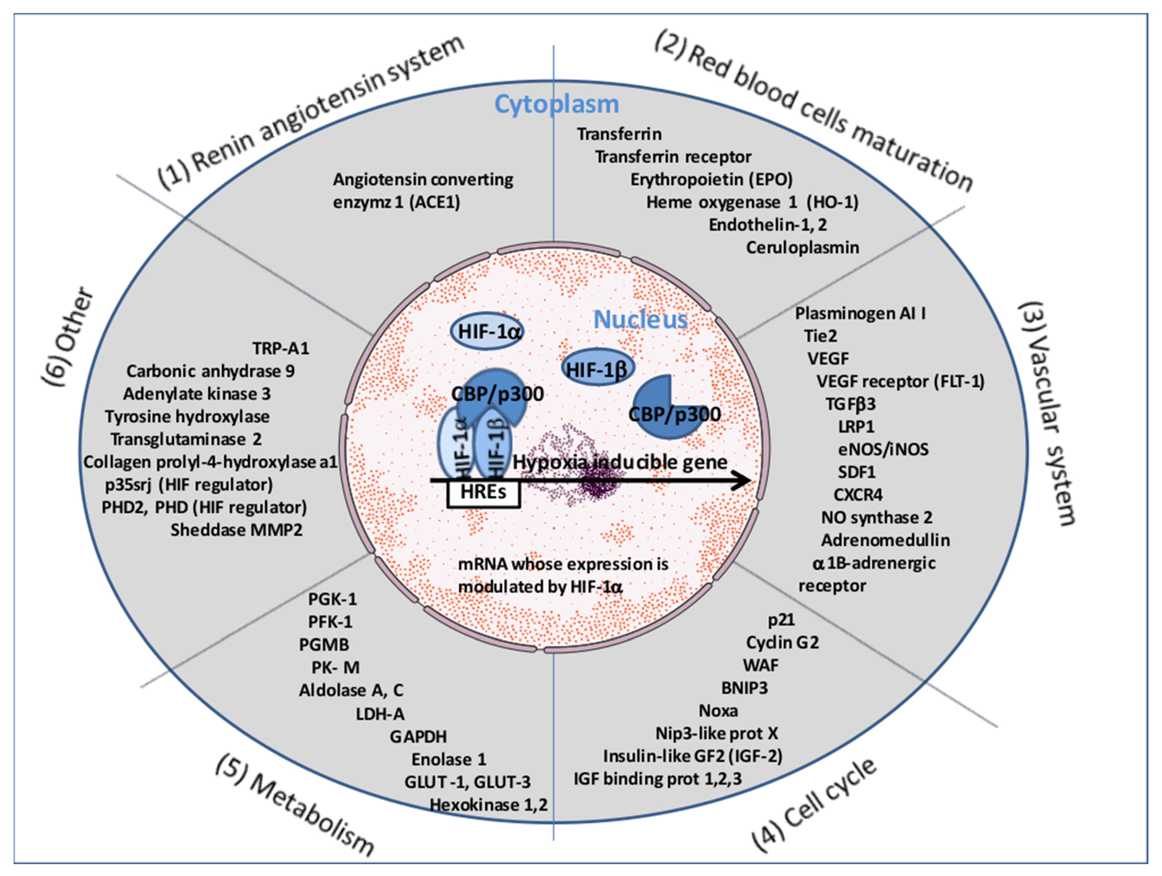 Jcm 12 02445 g003 Jcm 12 02445 g003