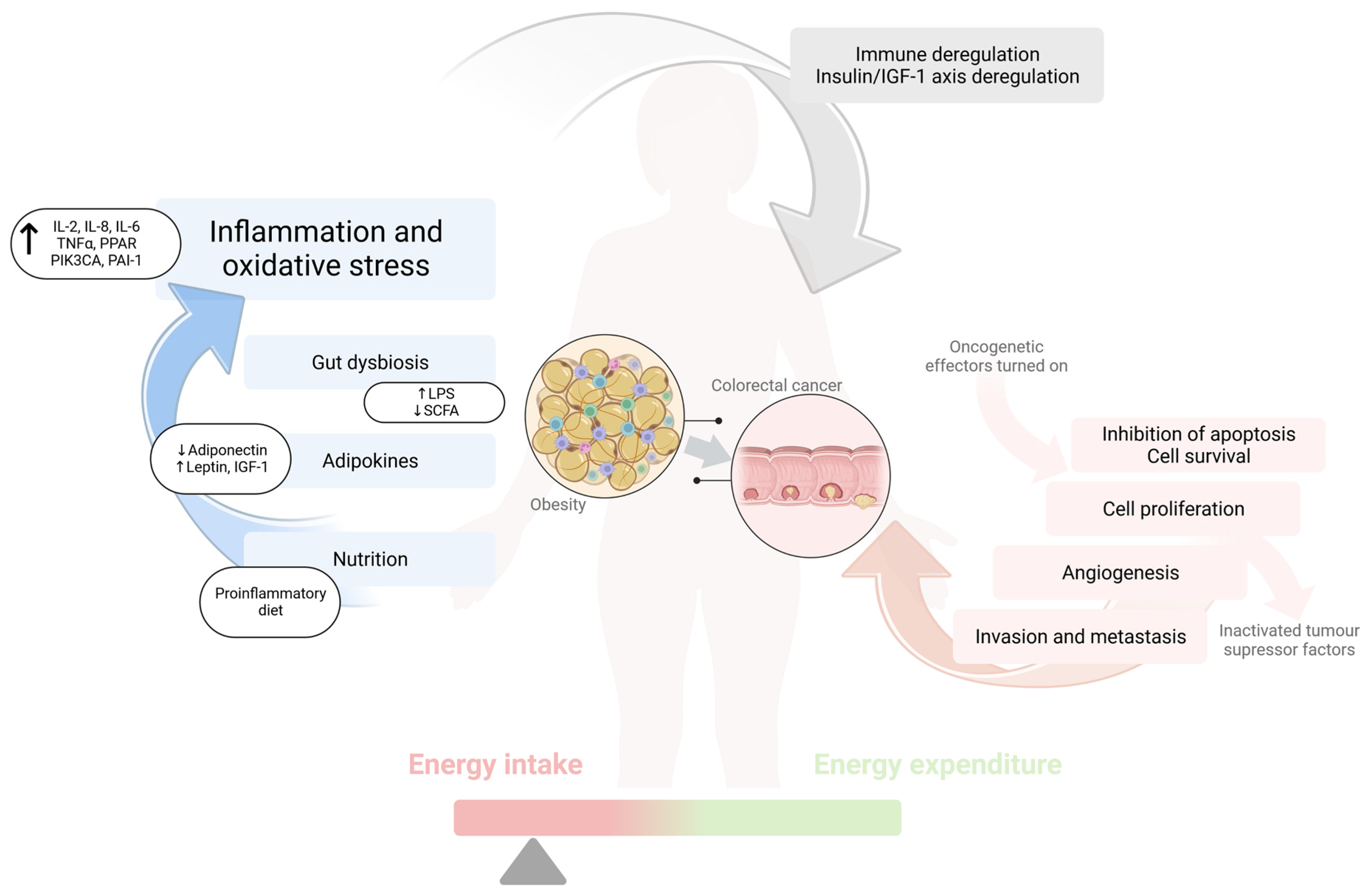 Jcm 12 02451 g001 Jcm 12 02451 g001