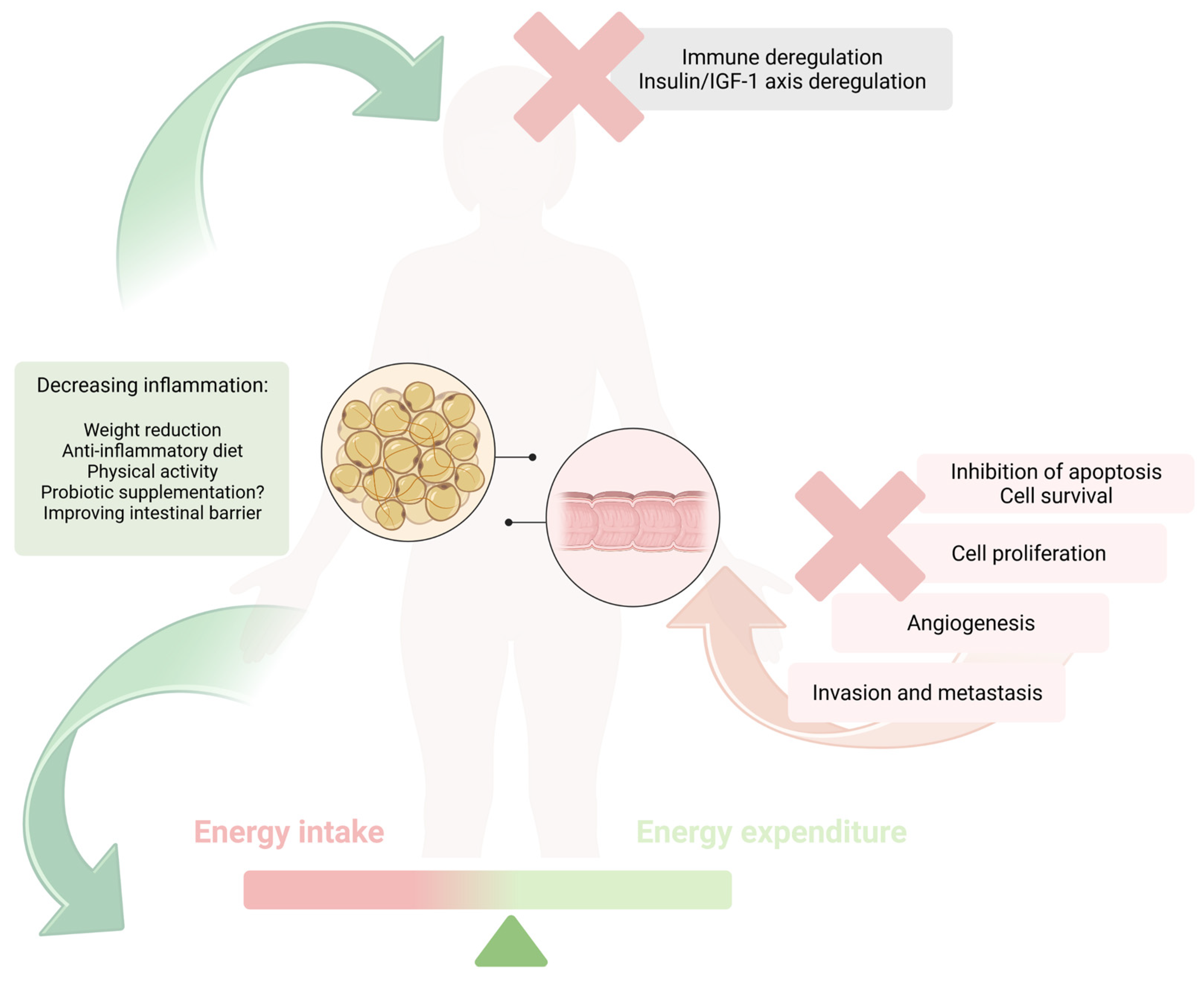 Jcm 12 02451 g002 Jcm 12 02451 g002