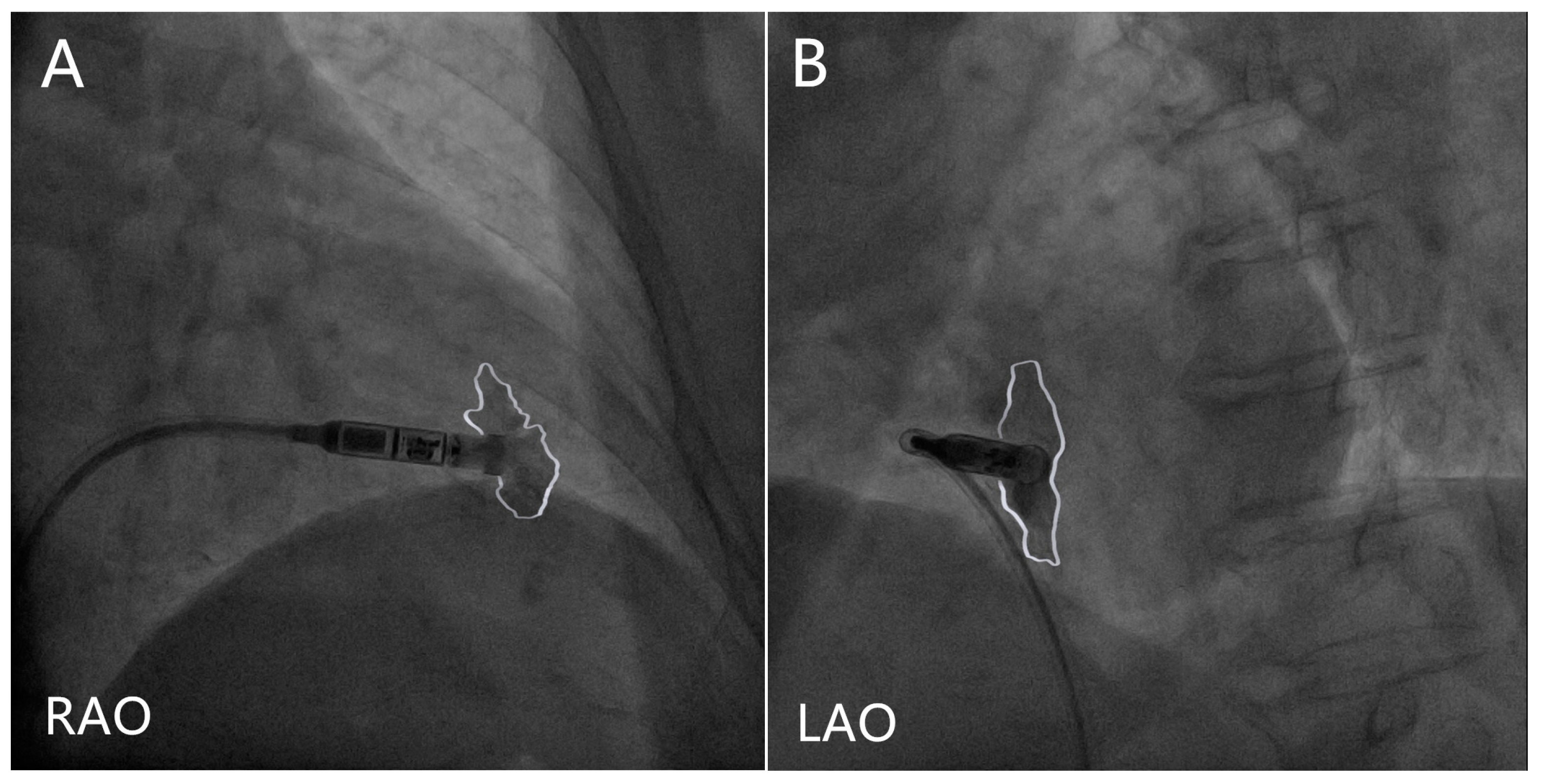 Jcm 12 02454 g001 Jcm 12 02454 g001