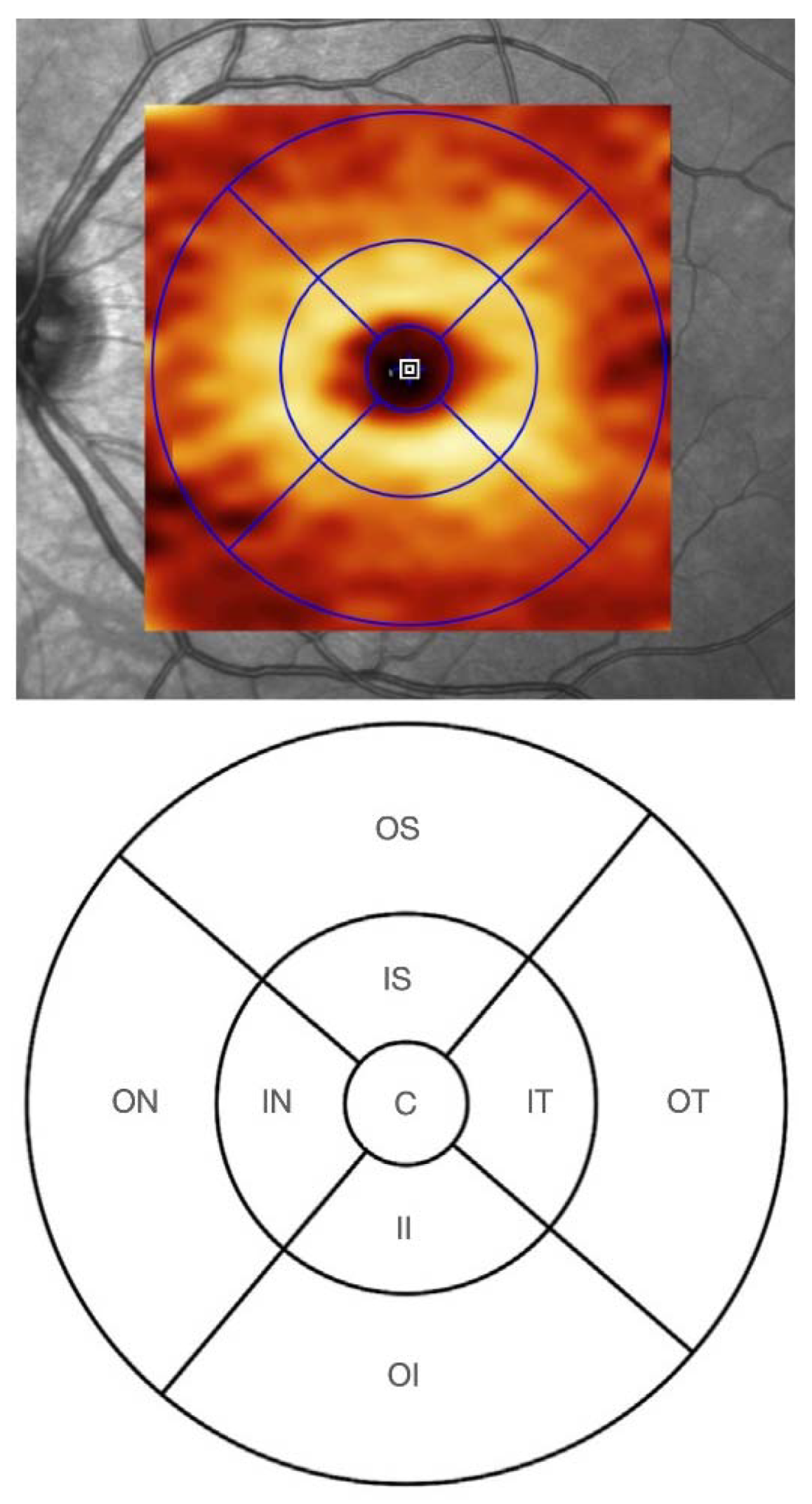 Jcm 12 02471 g002 Jcm 12 02471 g002