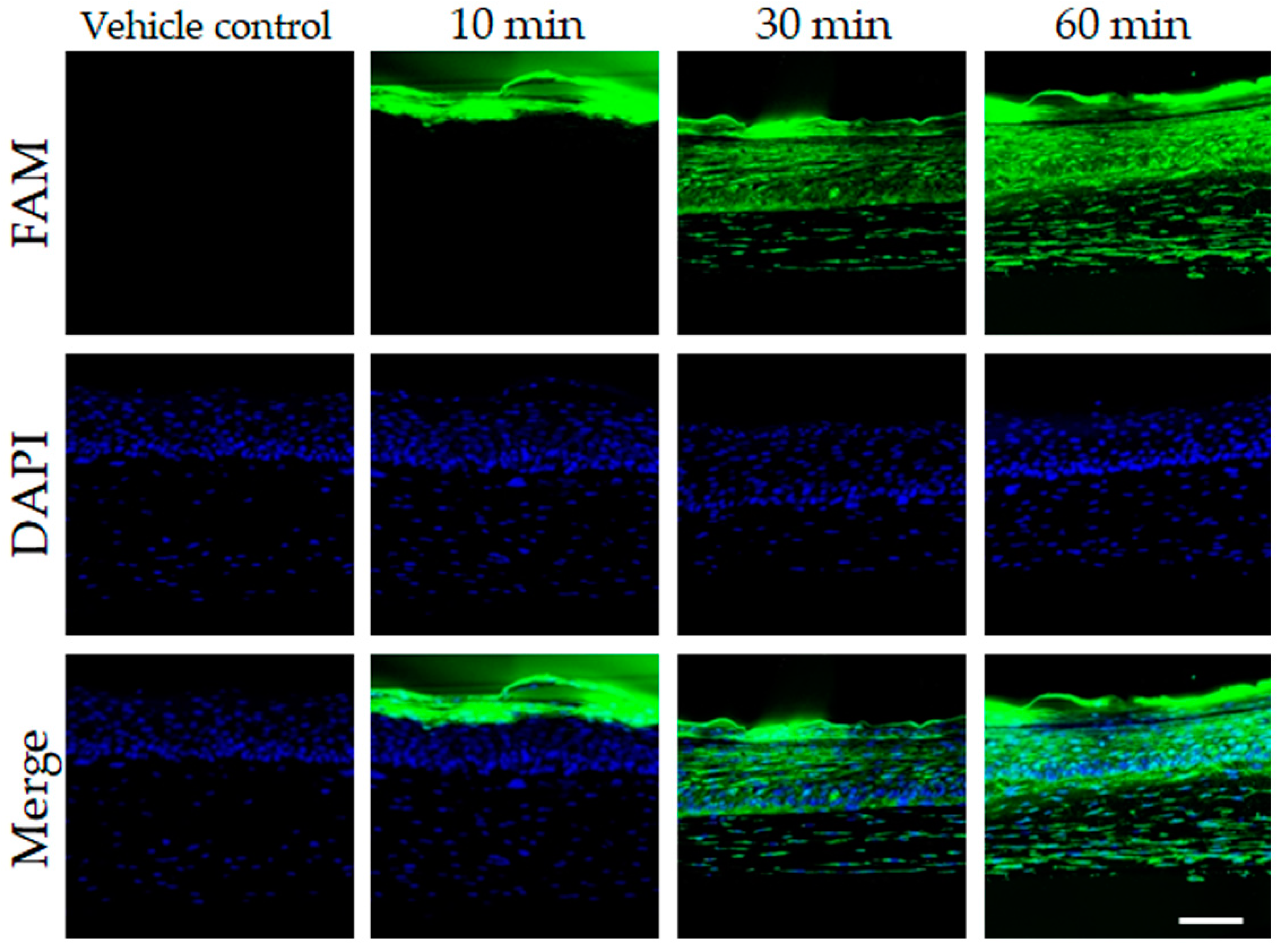 Jcm 12 02472 g003 Jcm 12 02472 g003