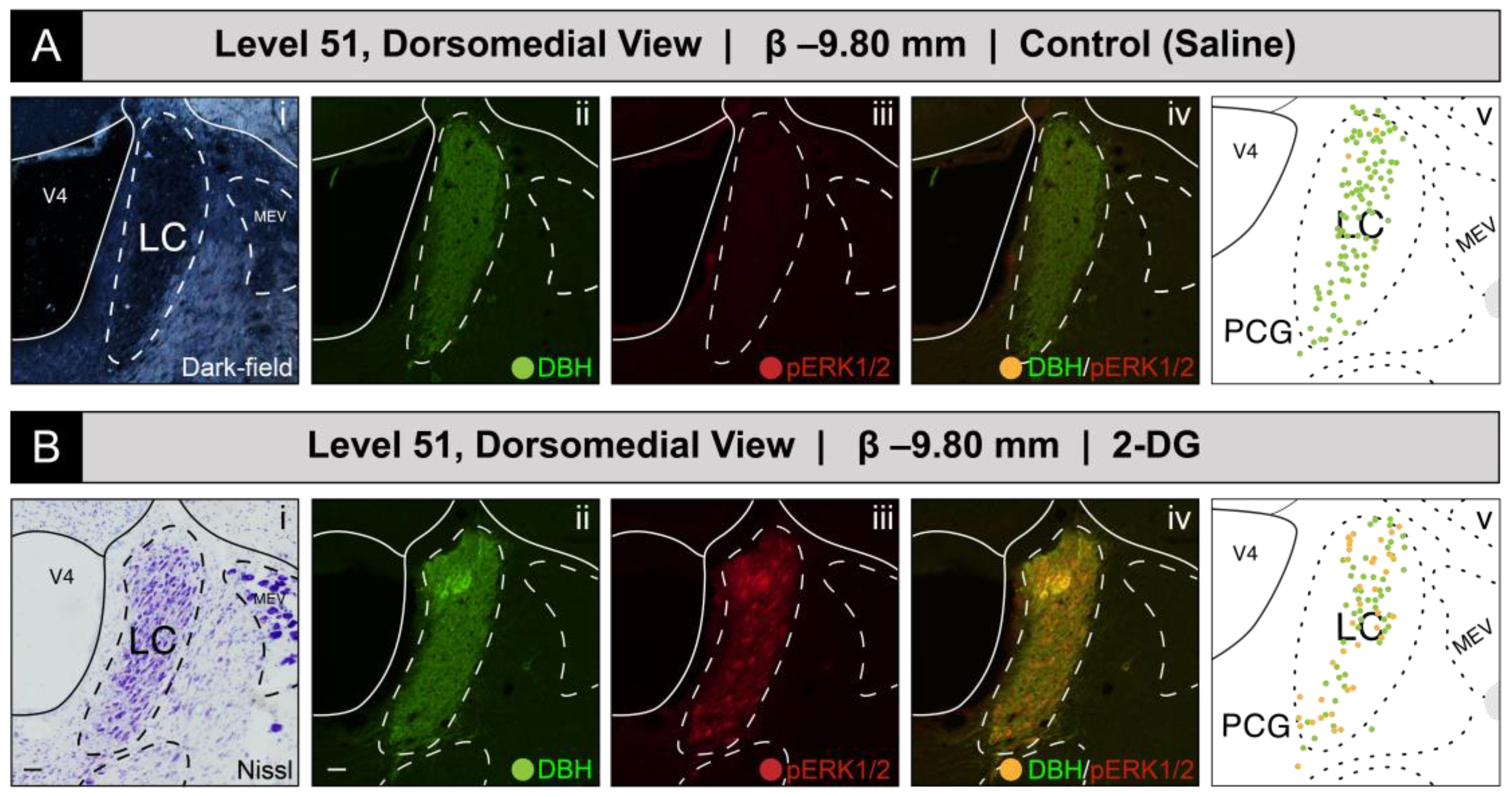 Jcm 12 02483 g002 Jcm 12 02483 g002