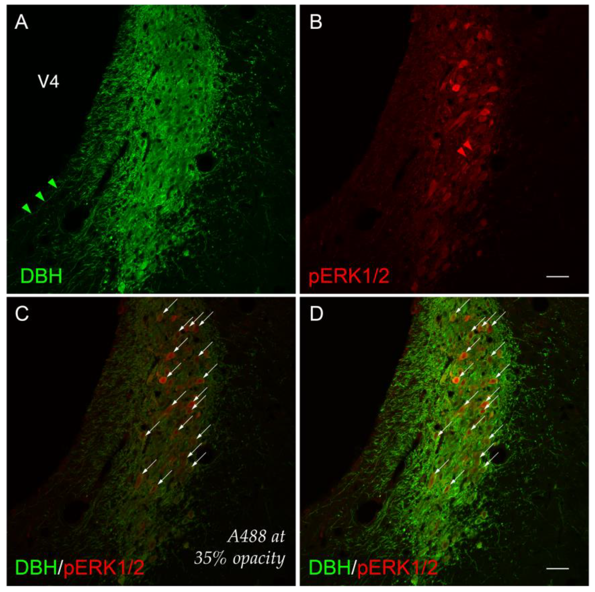 Jcm 12 02483 g003 Jcm 12 02483 g003