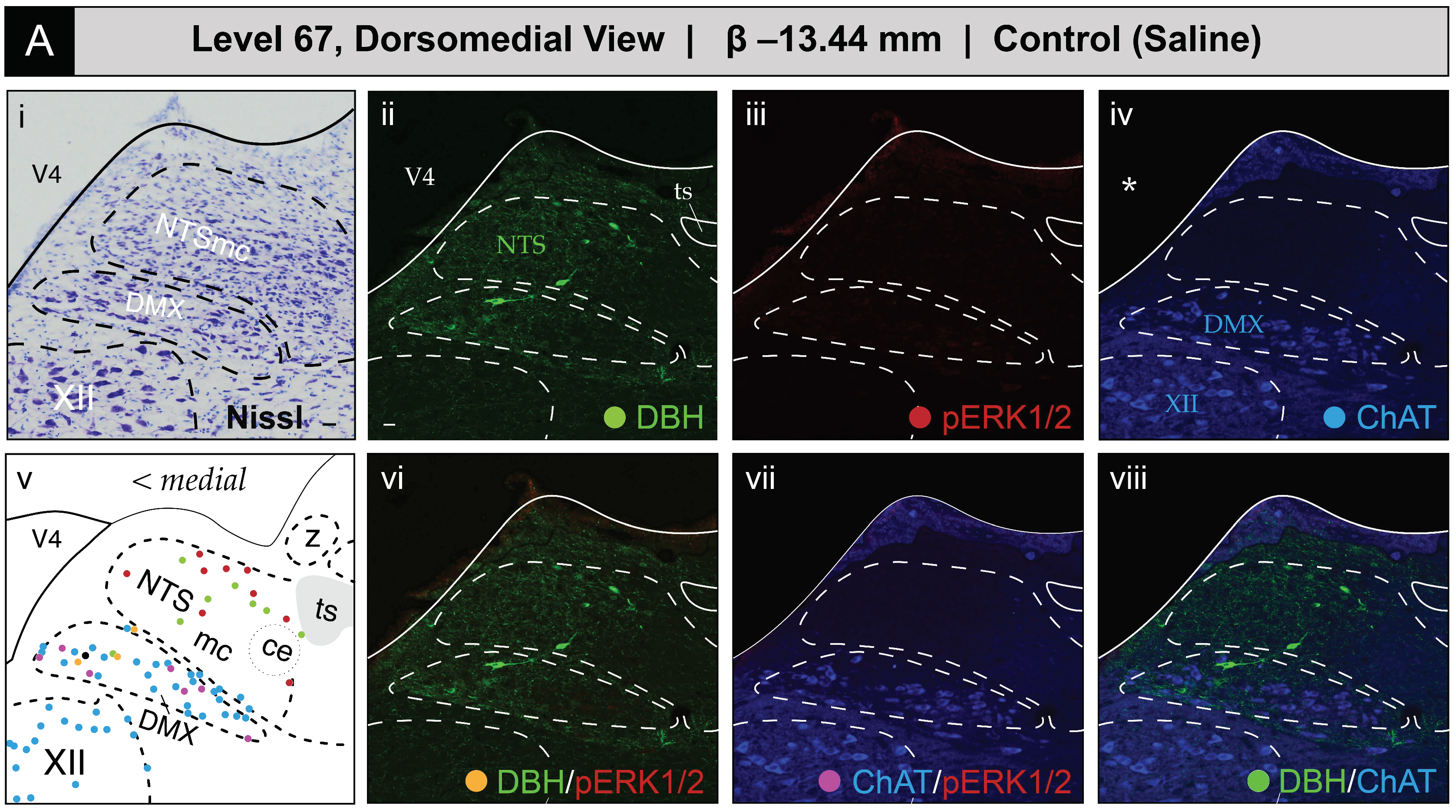 Jcm 12 02483 g005a Jcm 12 02483 g005a