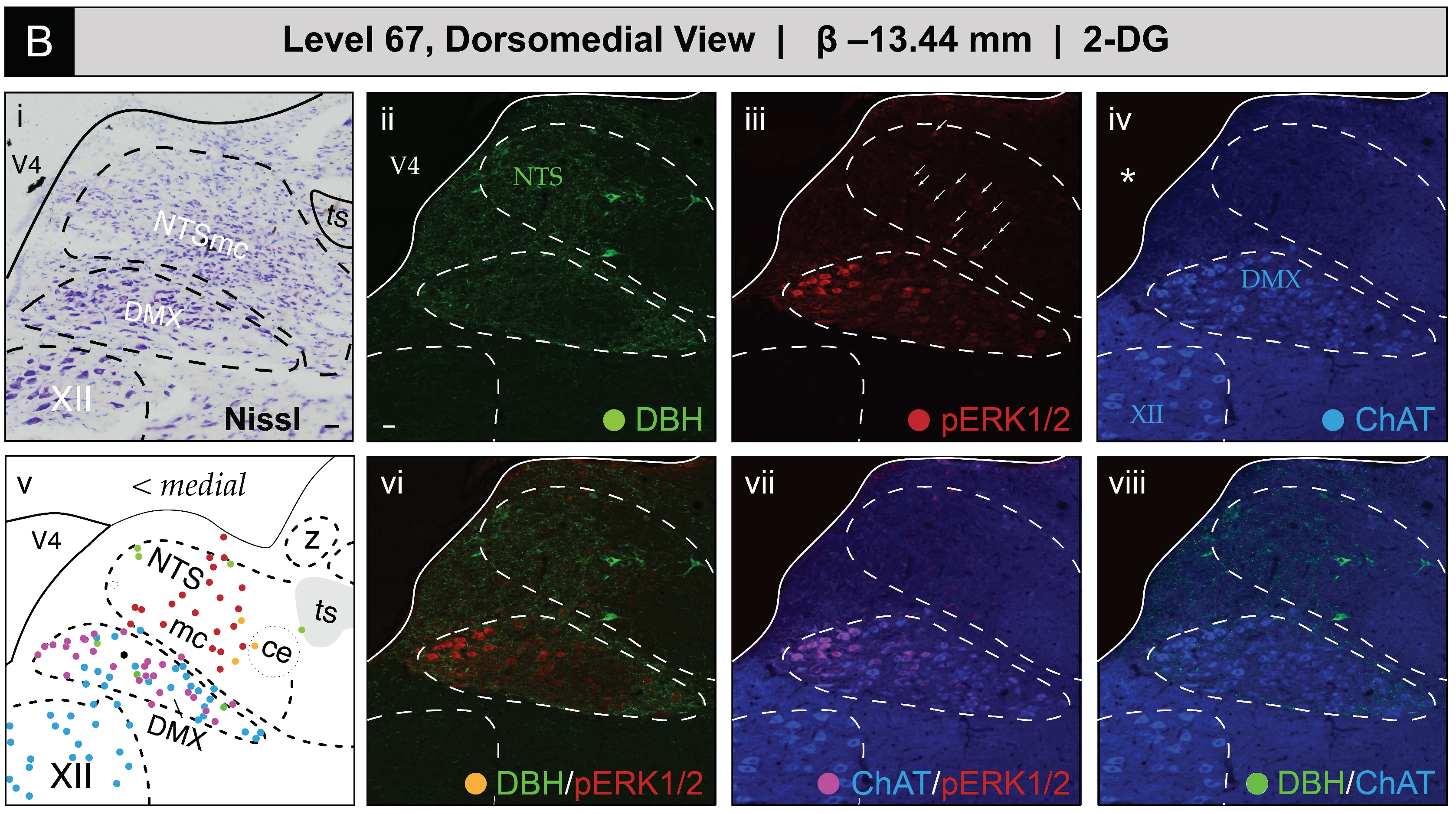 Jcm 12 02483 g005b Jcm 12 02483 g005b