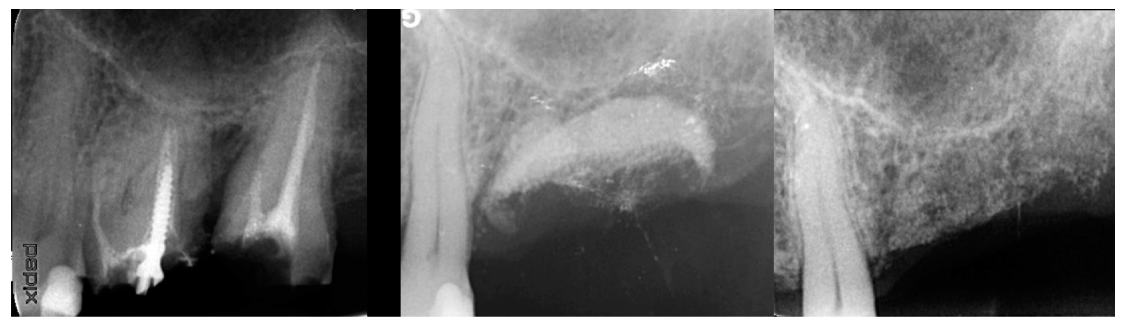 Jcm 12 02485 g001 Jcm 12 02485 g001