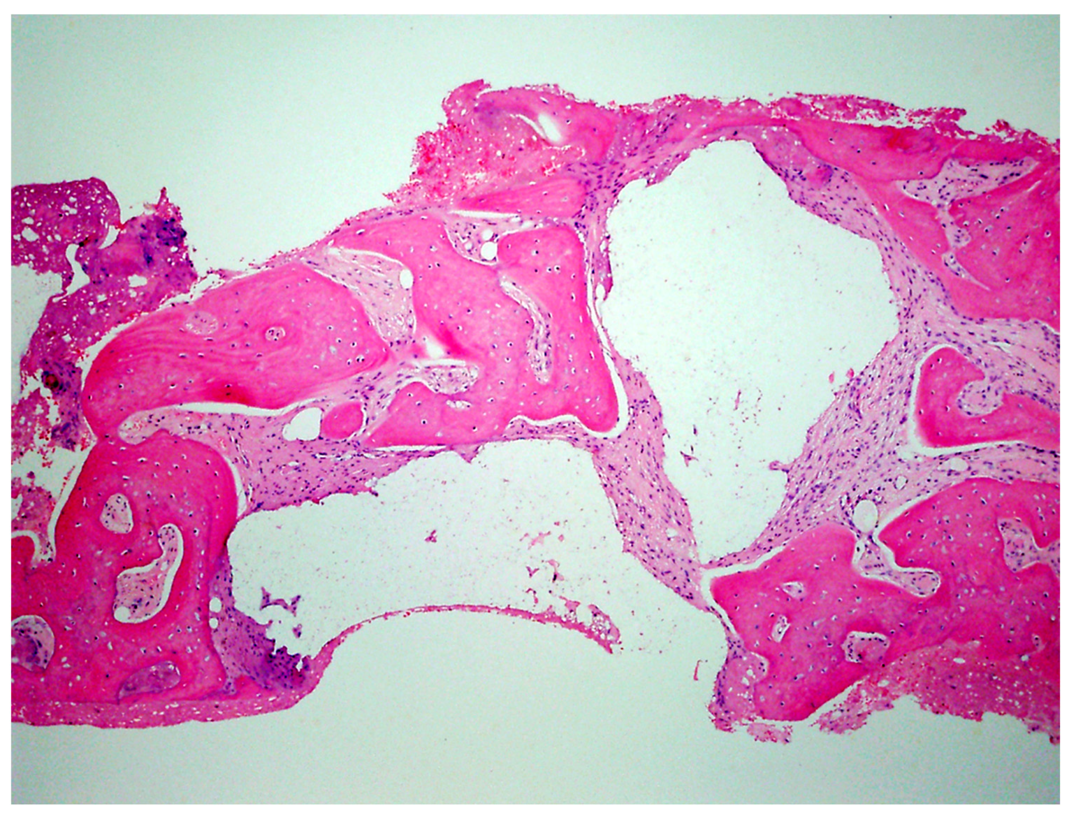 Jcm 12 02485 g019 Jcm 12 02485 g019