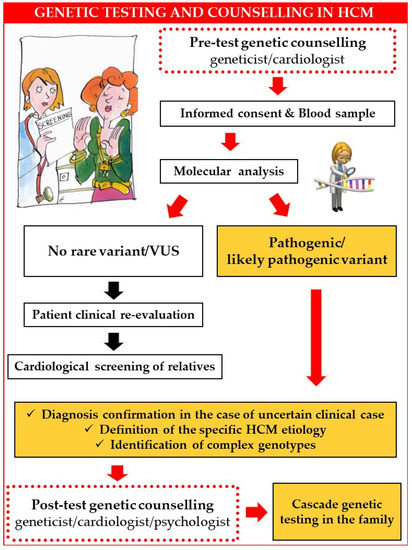 Kantor's 7 Steps to Evaluate a Position