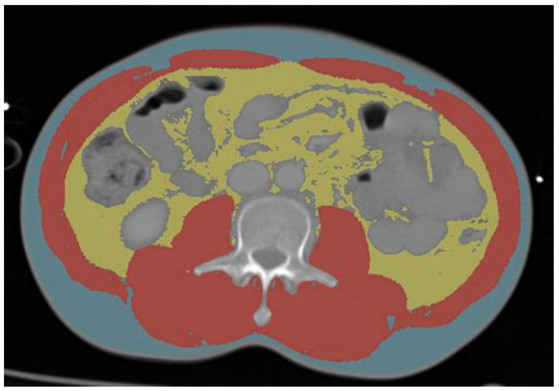 Jcm 12 02520 g001 Jcm 12 02520 g001
