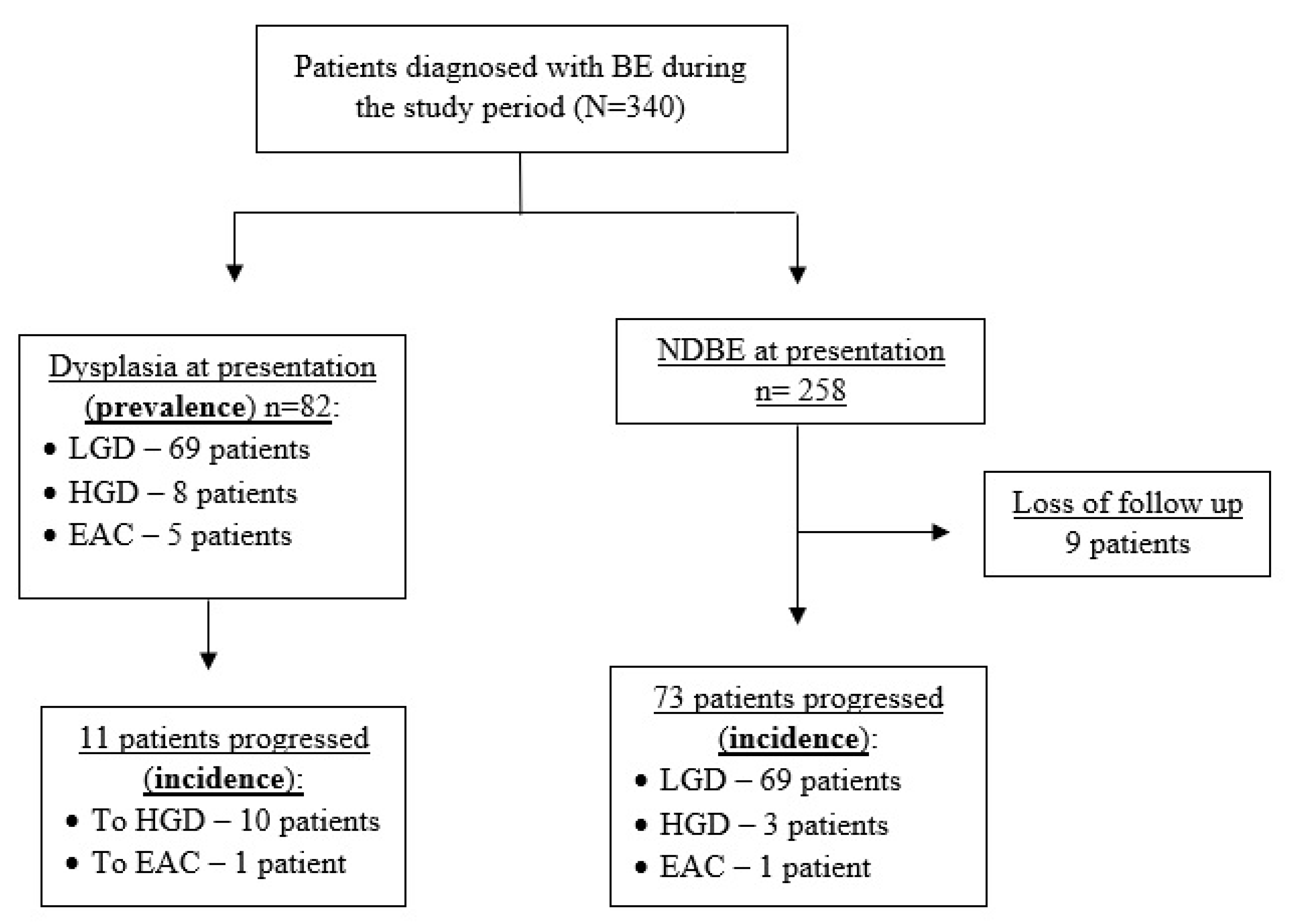 Jcm 12 02544 g001 Jcm 12 02544 g001