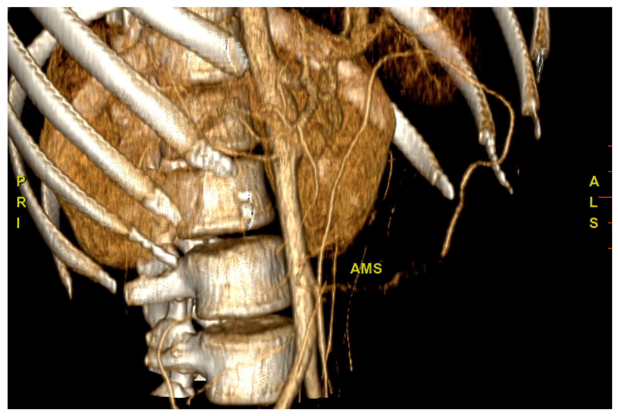 Jcm 12 02552 g001 Jcm 12 02552 g001