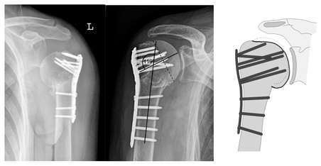 Jcm 12 02556 i001 Jcm 12 02556 i001