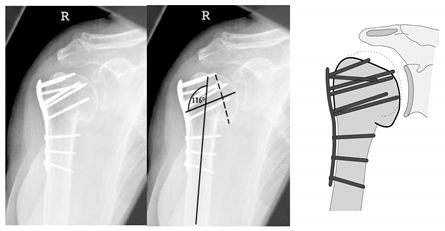 Jcm 12 02556 i002 Jcm 12 02556 i002