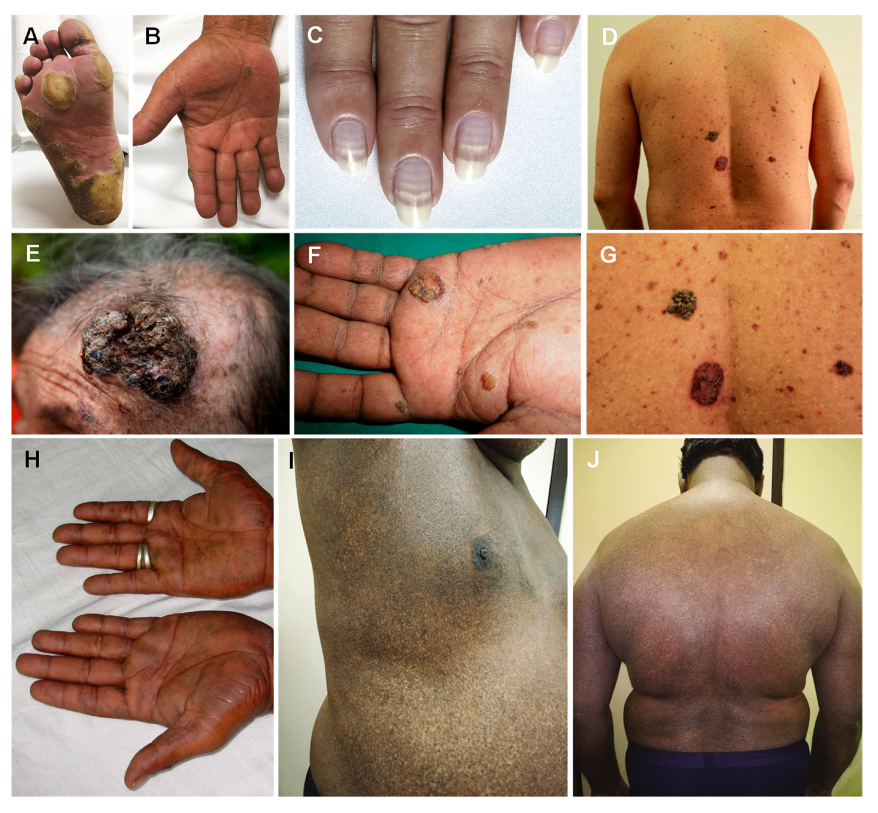 Jcm 12 02591 g002 Jcm 12 02591 g002