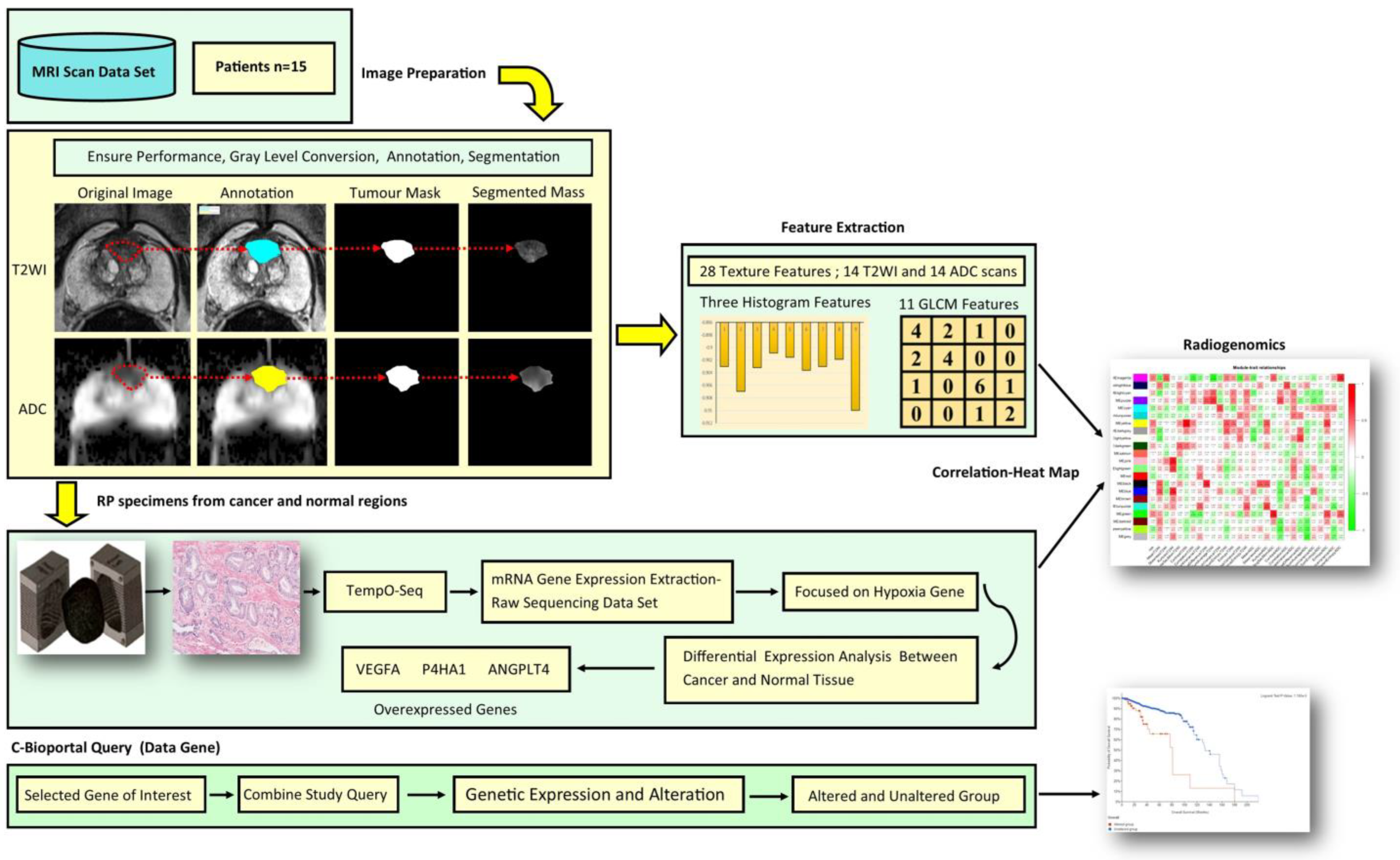 Jcm 12 02605 g001 Jcm 12 02605 g001