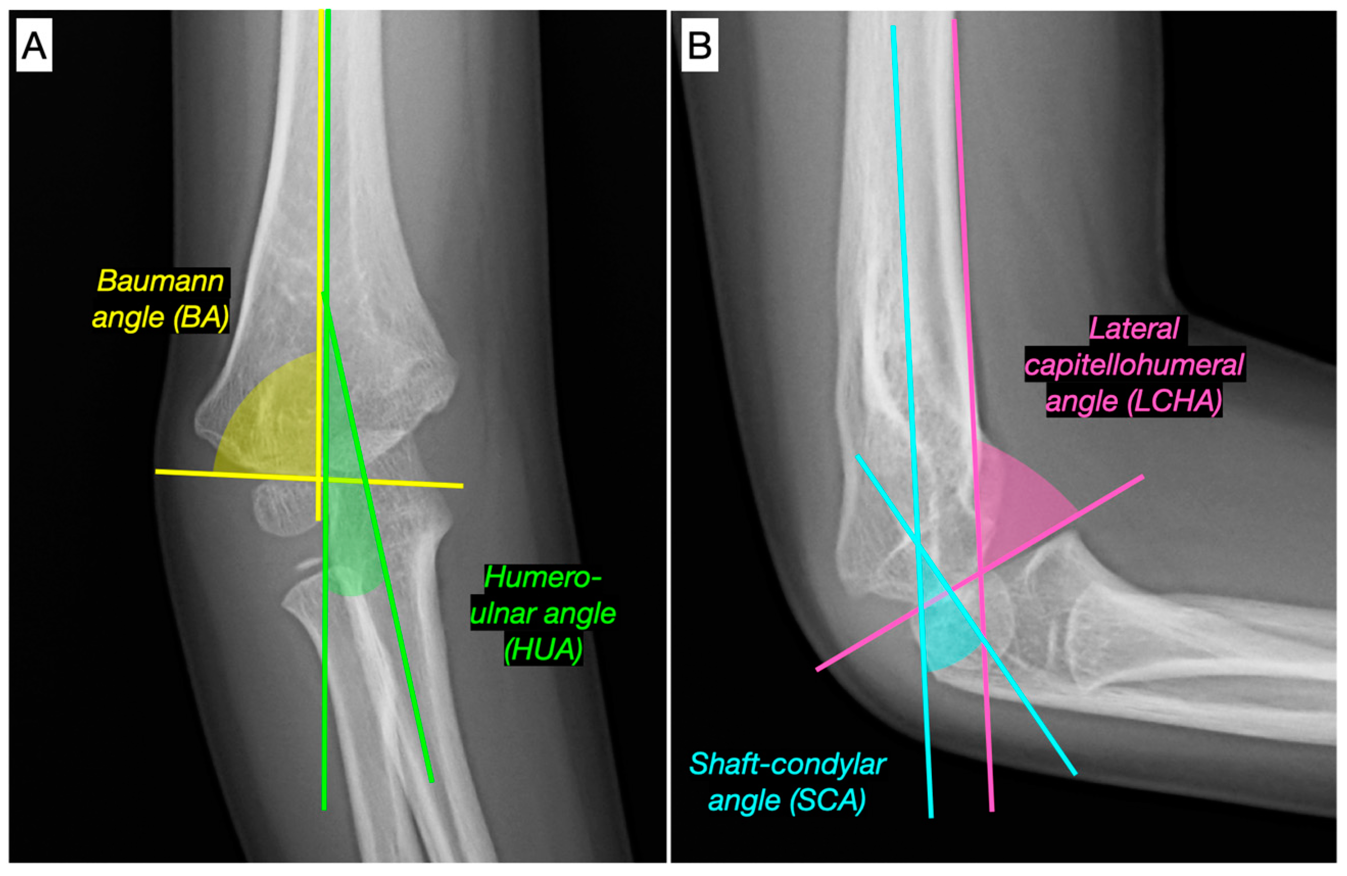 Jcm 12 02632 g003 Jcm 12 02632 g003
