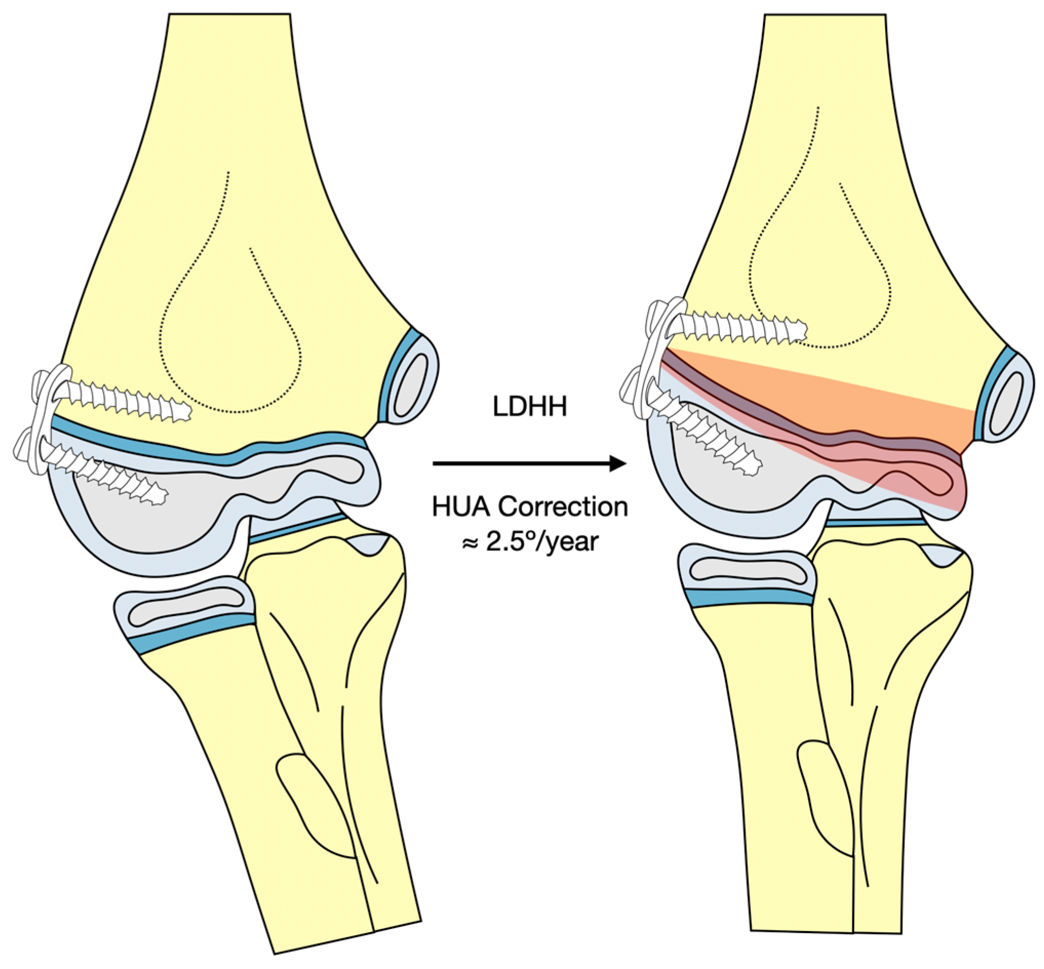 Jcm 12 02632 g010 Jcm 12 02632 g010