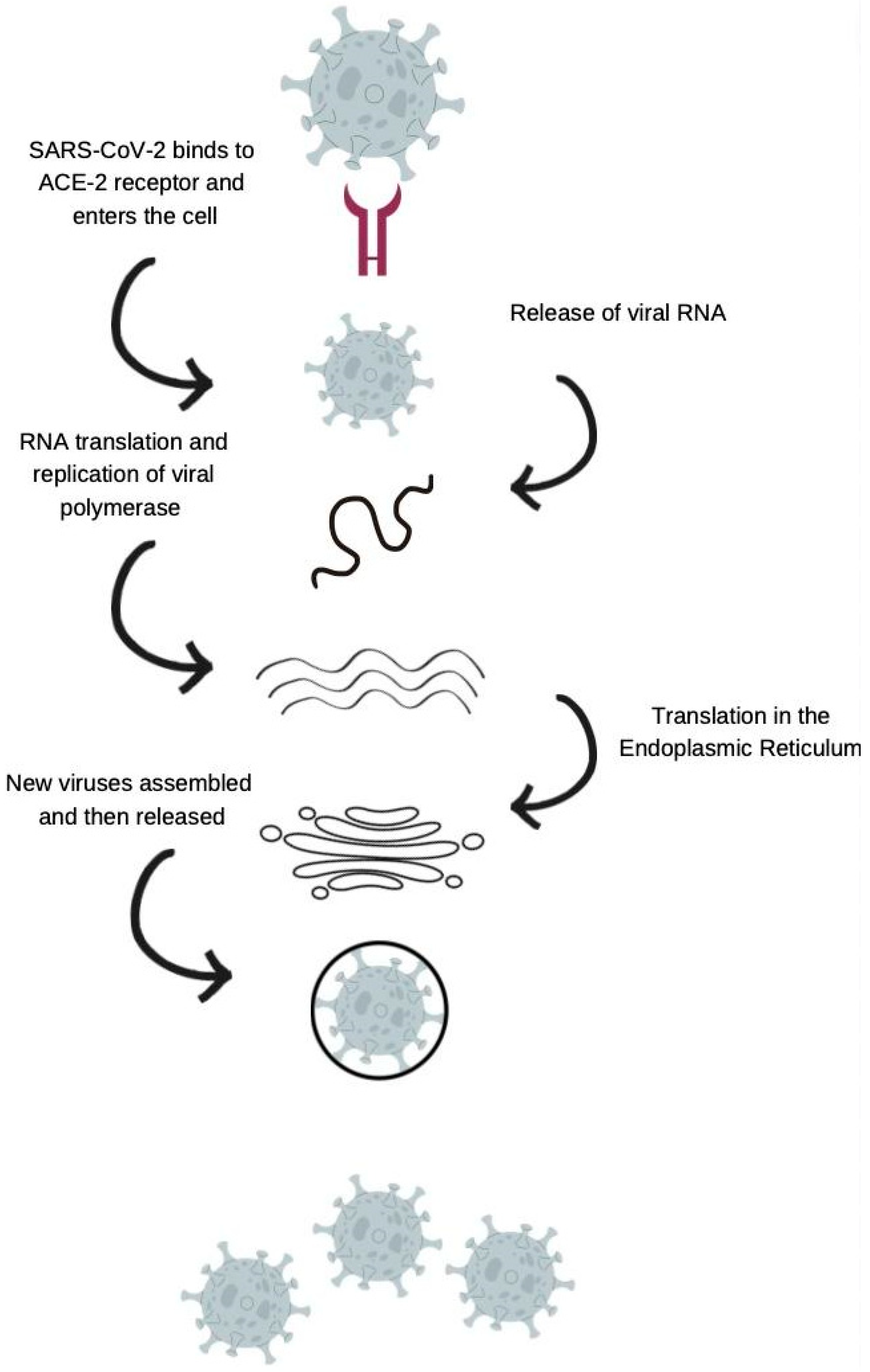Jcm 12 02645 g001 Jcm 12 02645 g001