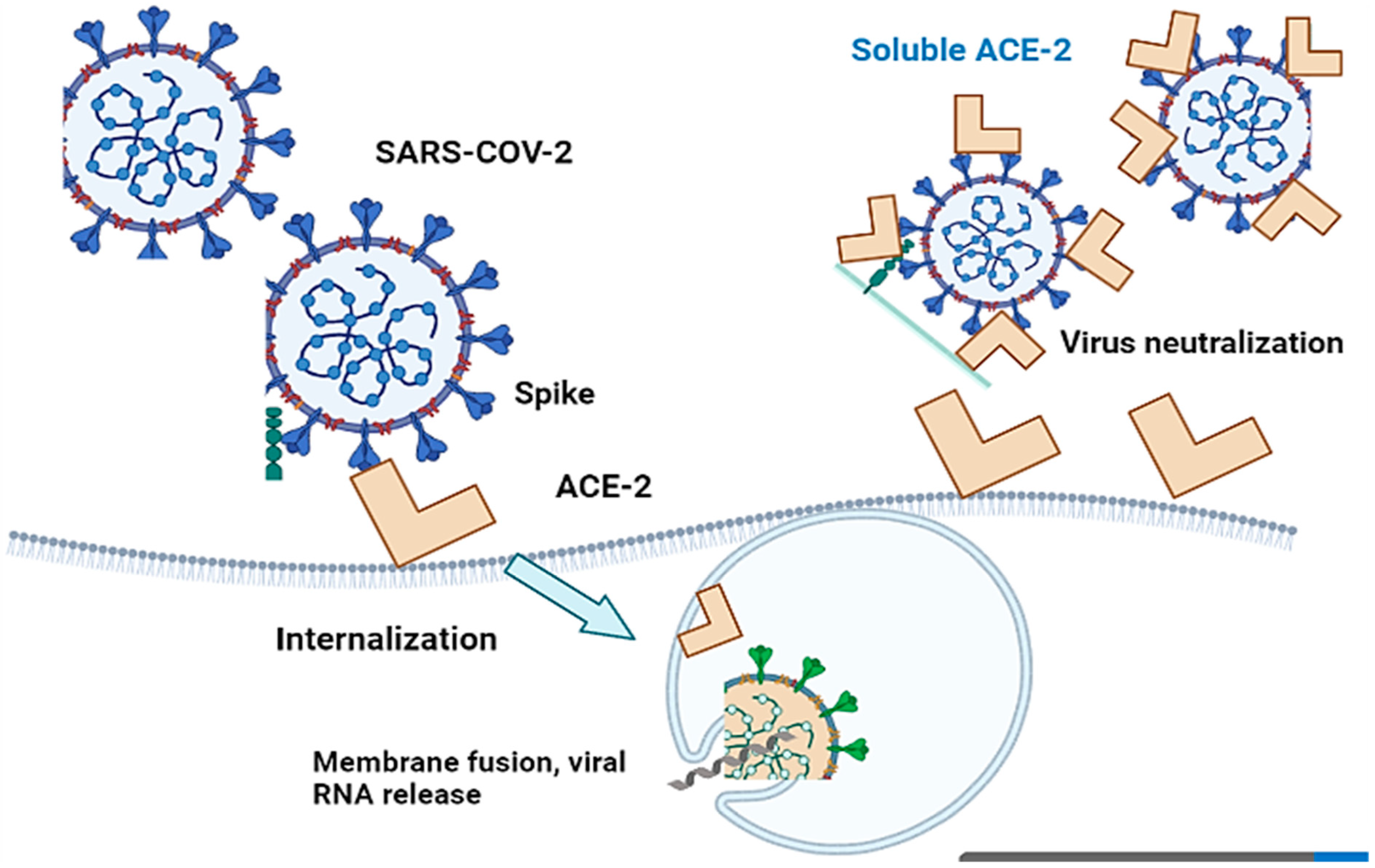 Jcm 12 02645 g004 Jcm 12 02645 g004
