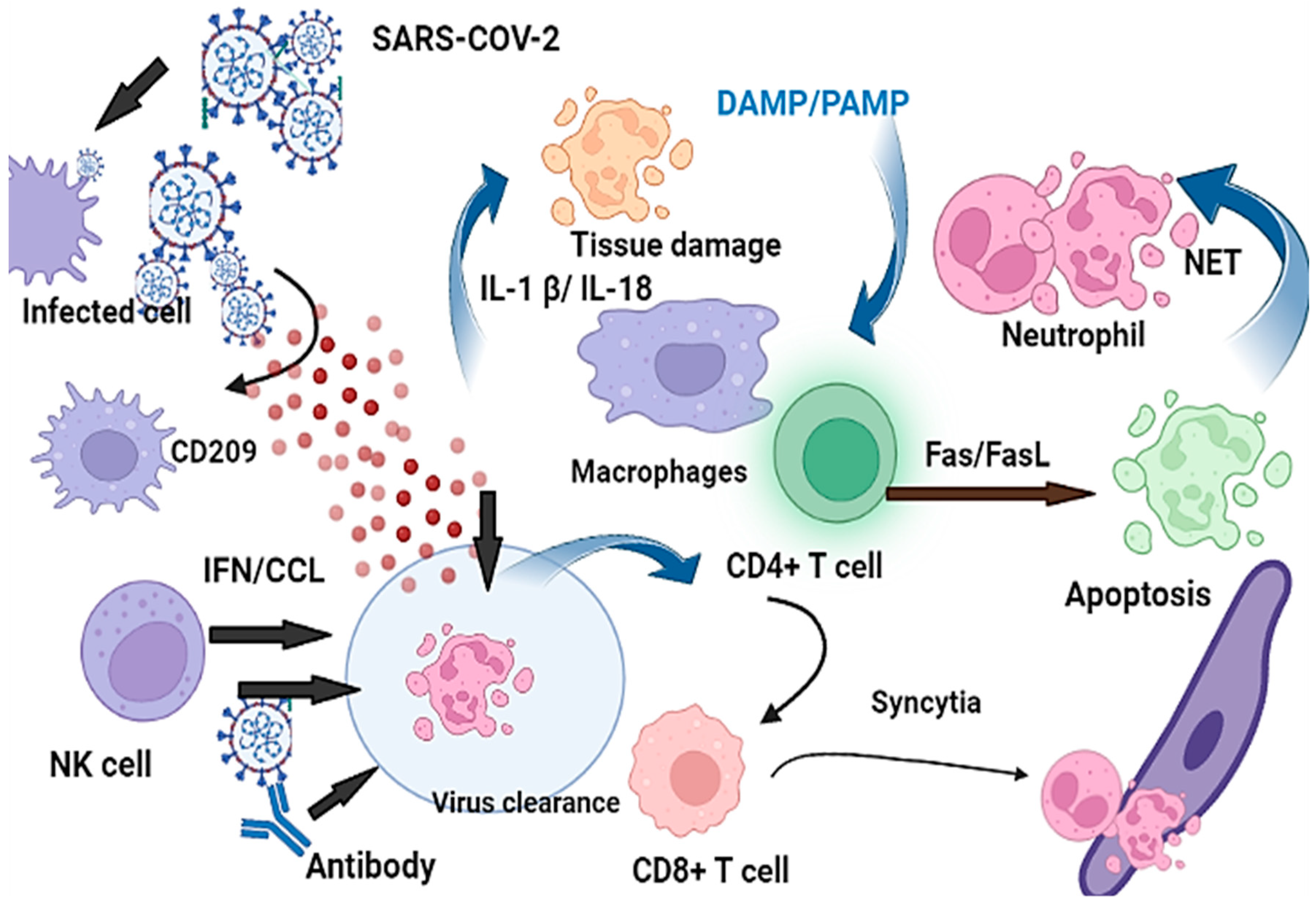 Jcm 12 02645 g005 Jcm 12 02645 g005