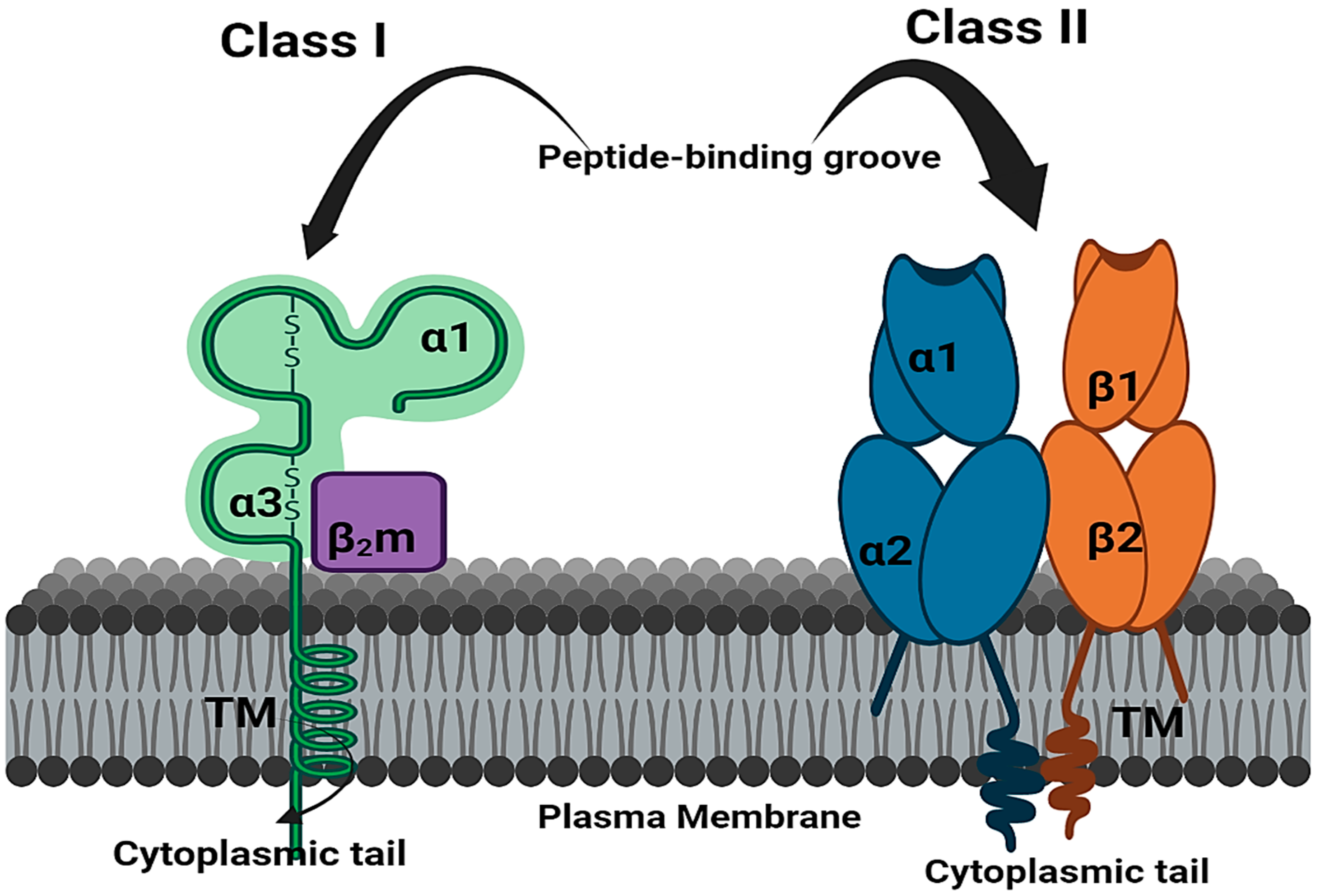 Jcm 12 02645 g007 Jcm 12 02645 g007