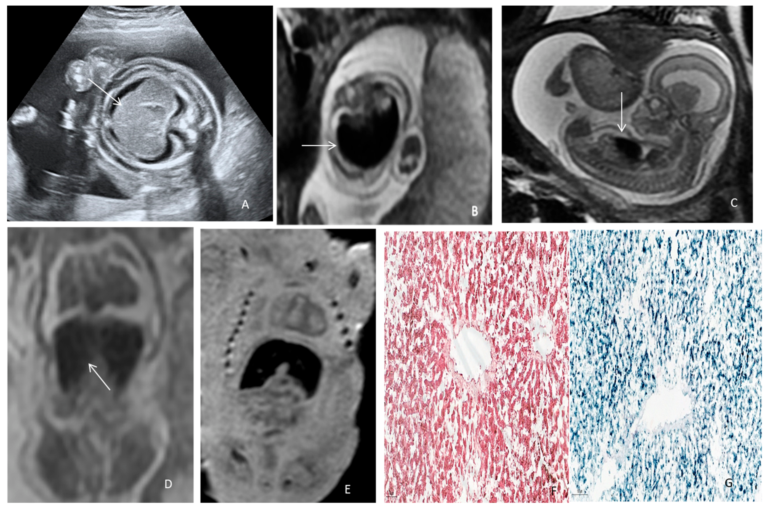 Jcm 12 02679 g004 Jcm 12 02679 g004