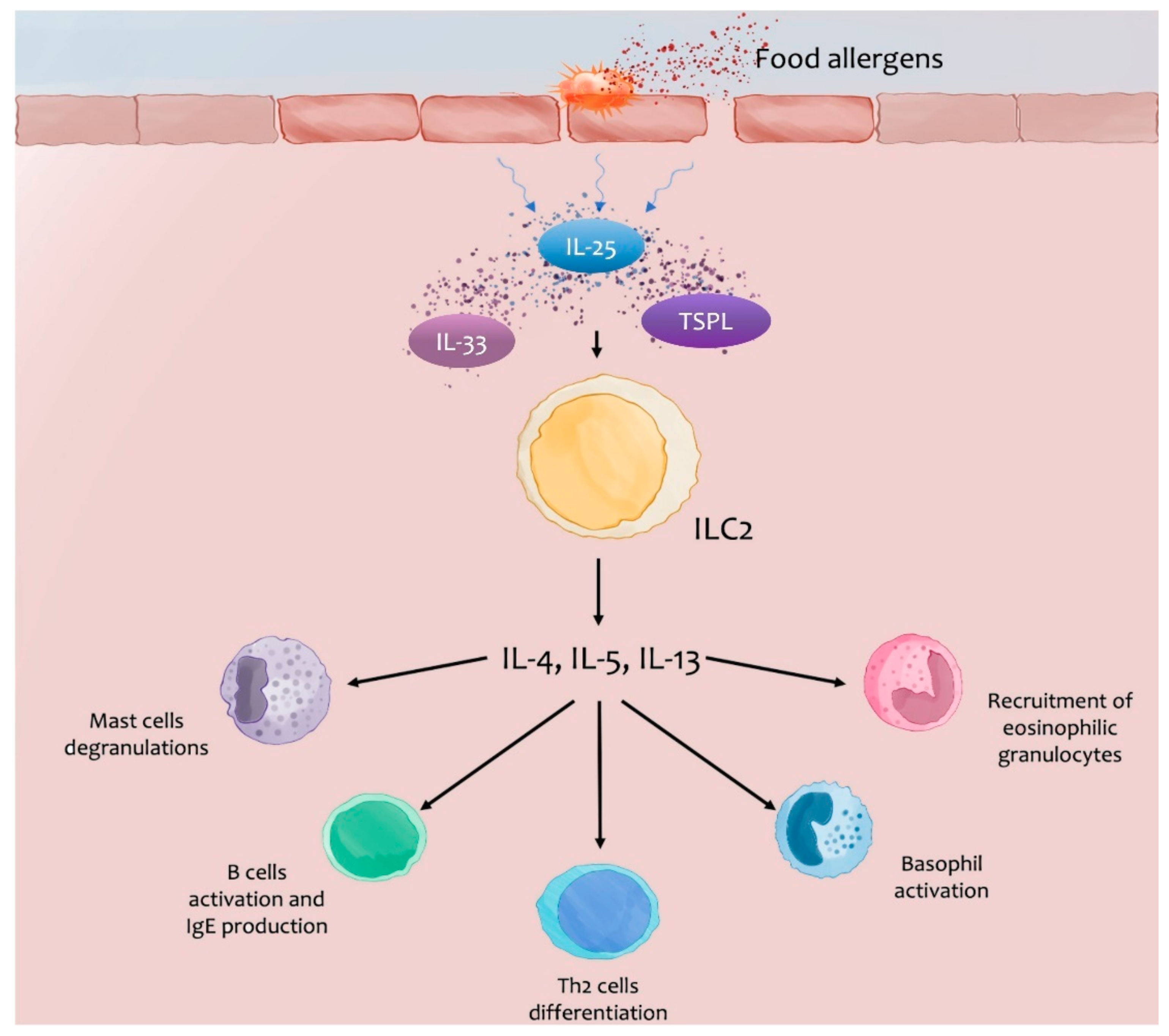 Jcm 12 02699 g001 Jcm 12 02699 g001