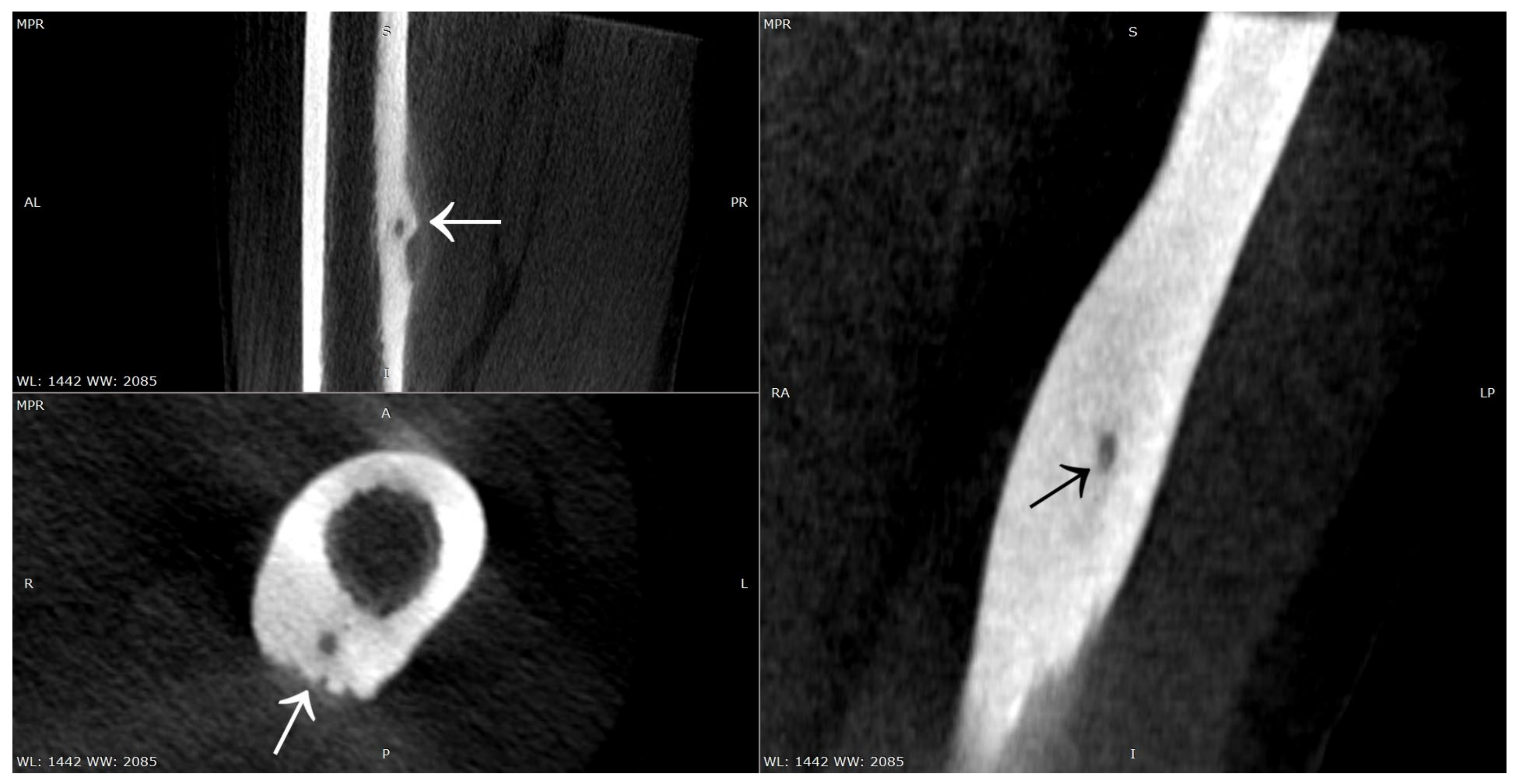 Jcm 12 02721 g016 Jcm 12 02721 g016