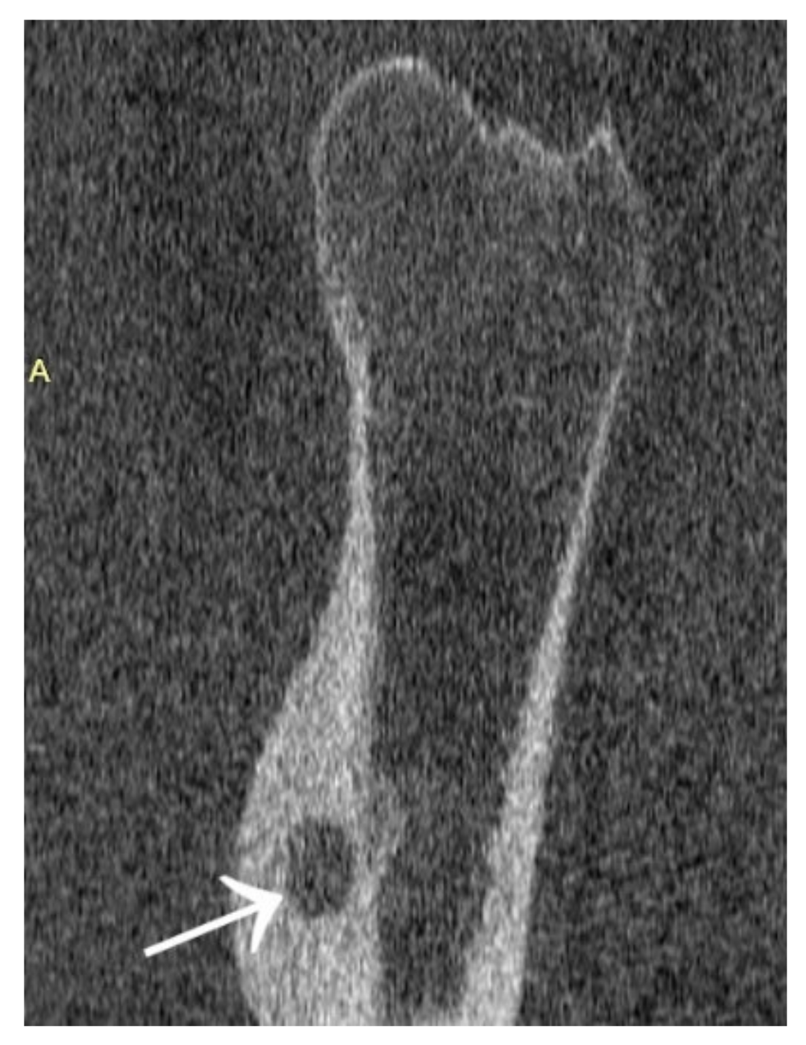 Jcm 12 02721 g019 Jcm 12 02721 g019