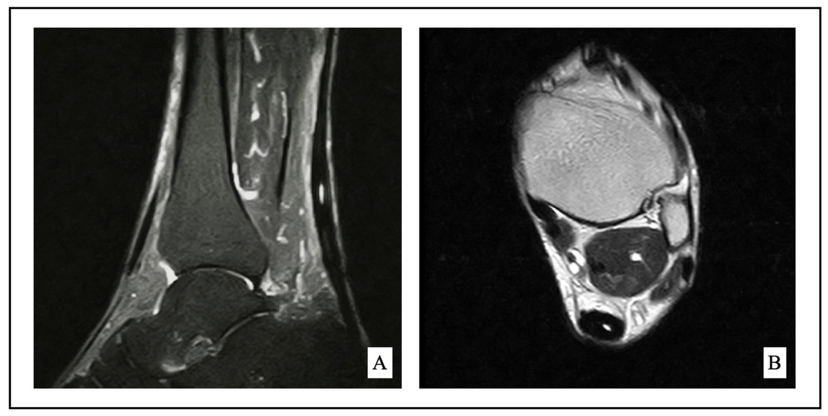 Jcm 12 02747 g001 Jcm 12 02747 g001