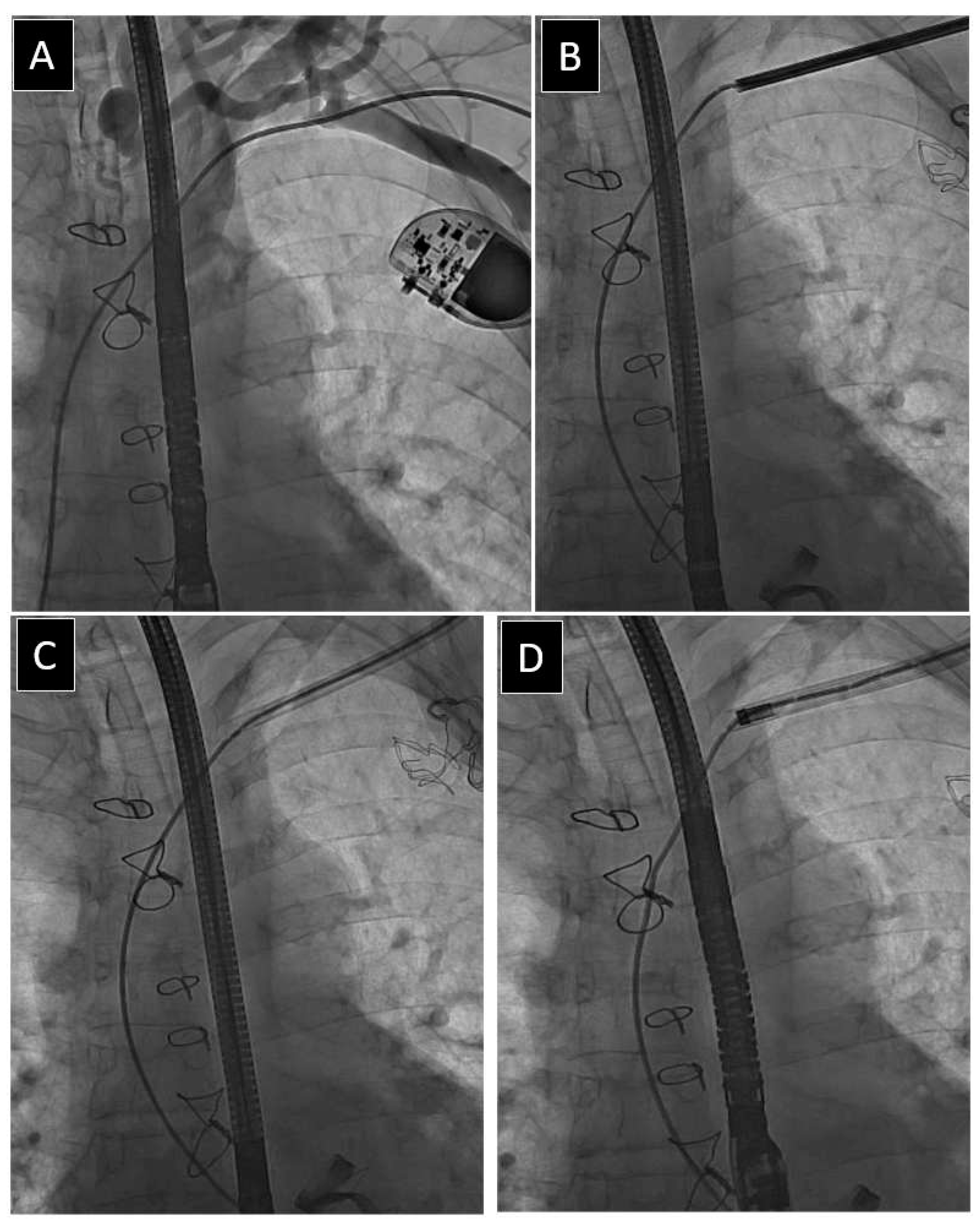 Jcm 12 02811 g004 Jcm 12 02811 g004