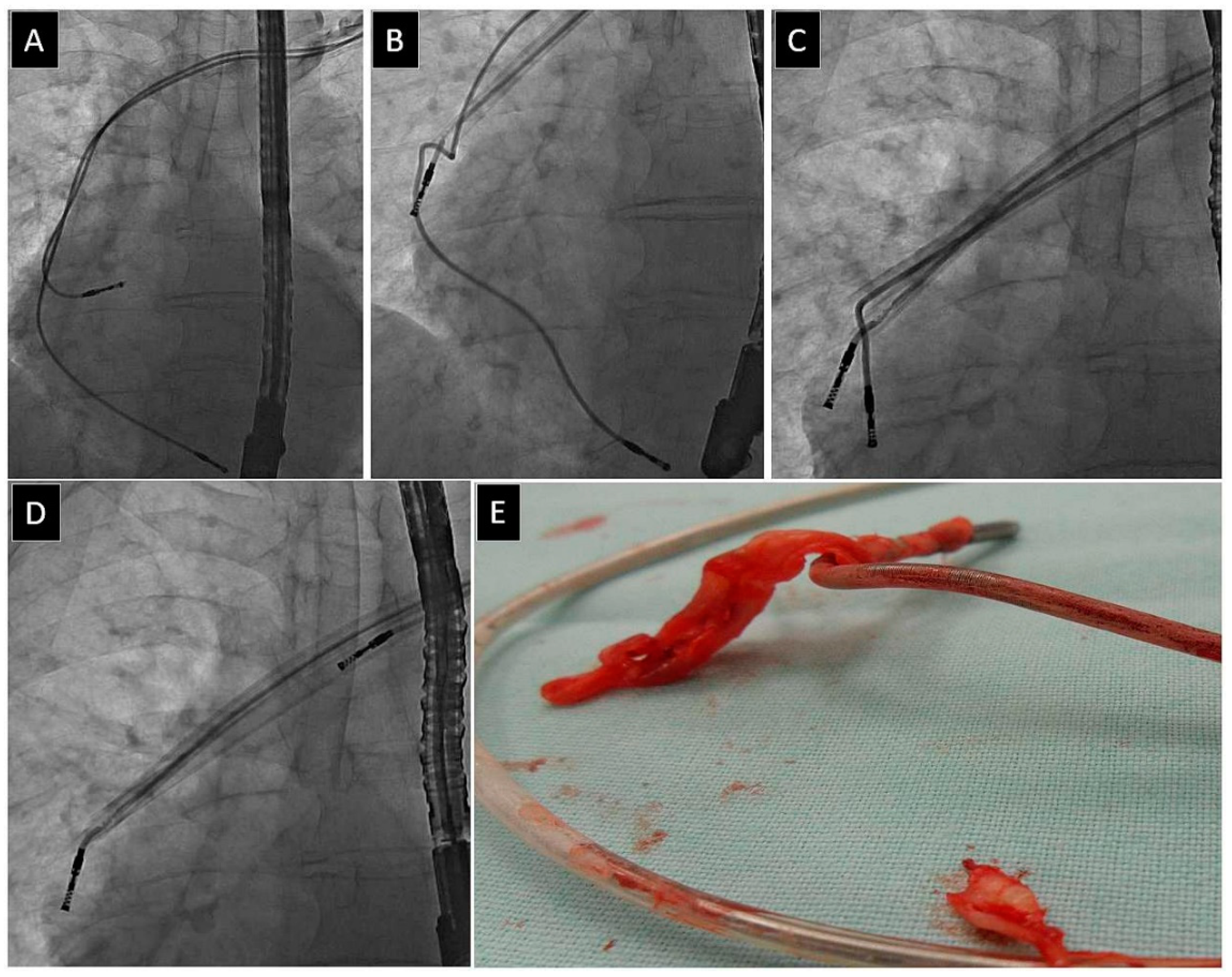 Jcm 12 02811 g005 Jcm 12 02811 g005