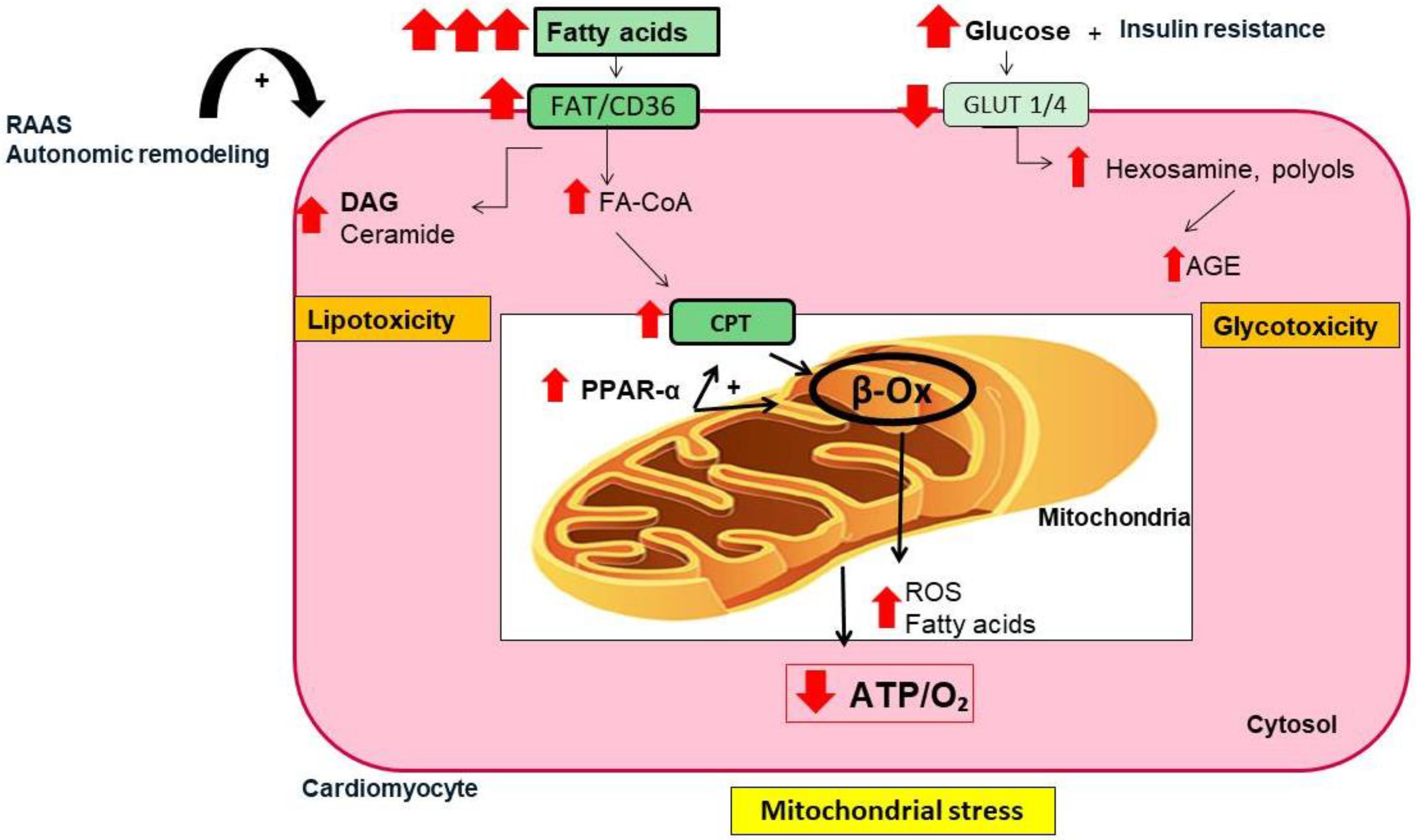 Jcm 12 02868 g002 Jcm 12 02868 g002