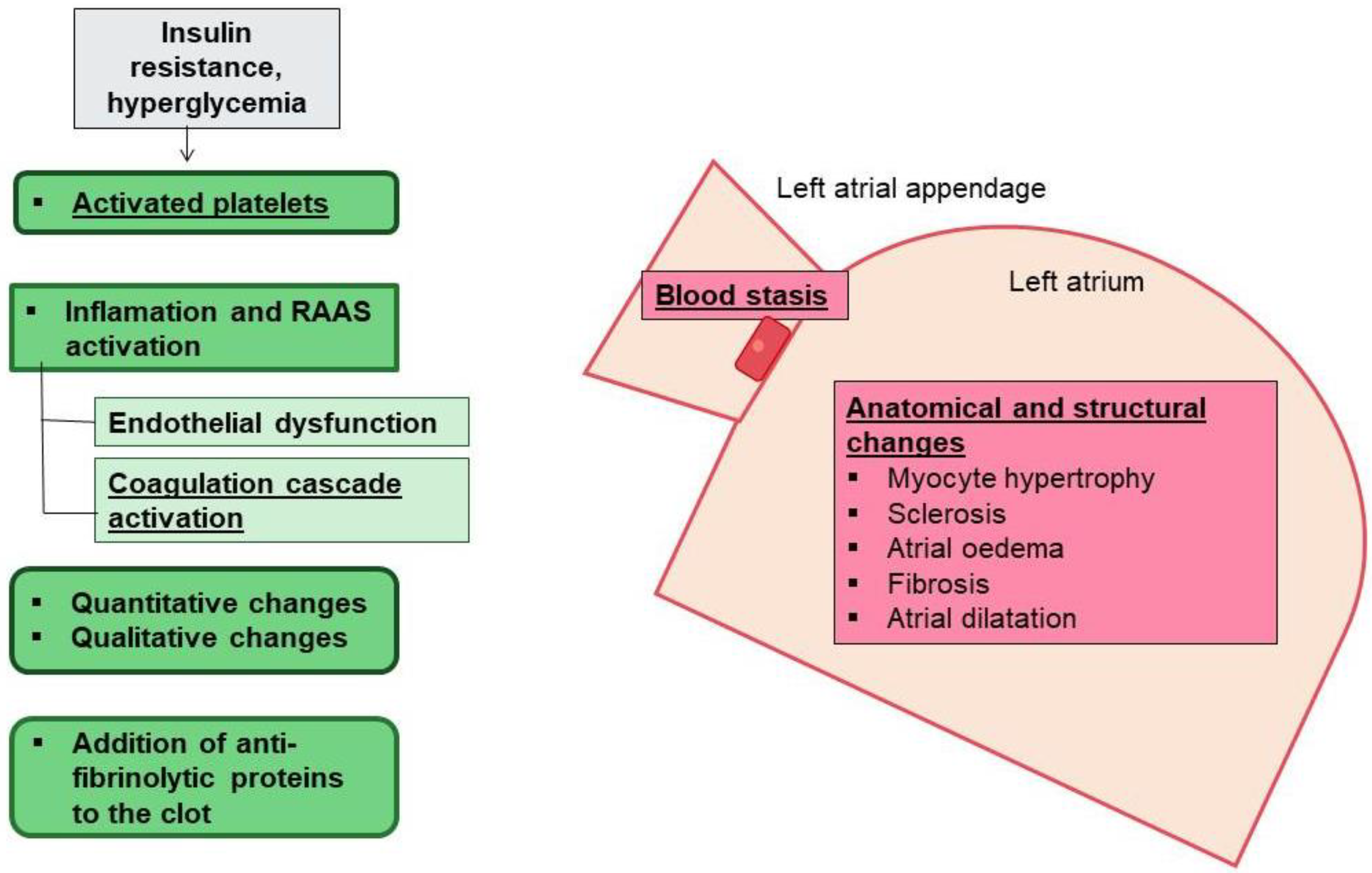 Jcm 12 02868 g003 Jcm 12 02868 g003