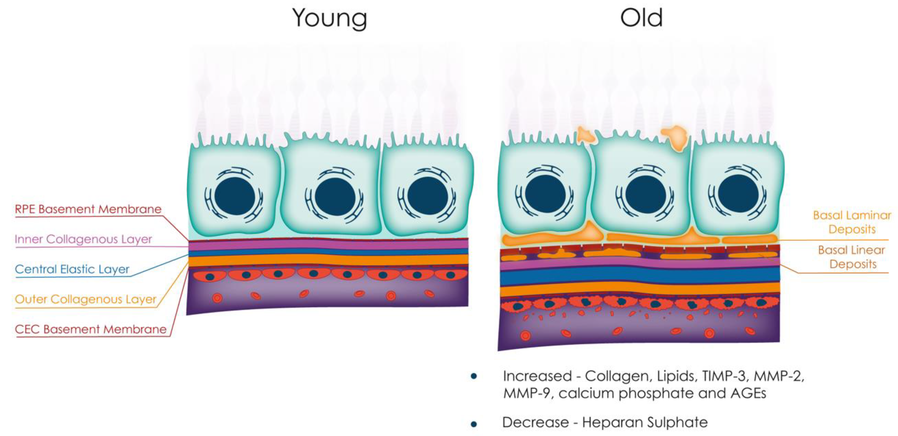 Jcm 12 02870 g002 Jcm 12 02870 g002