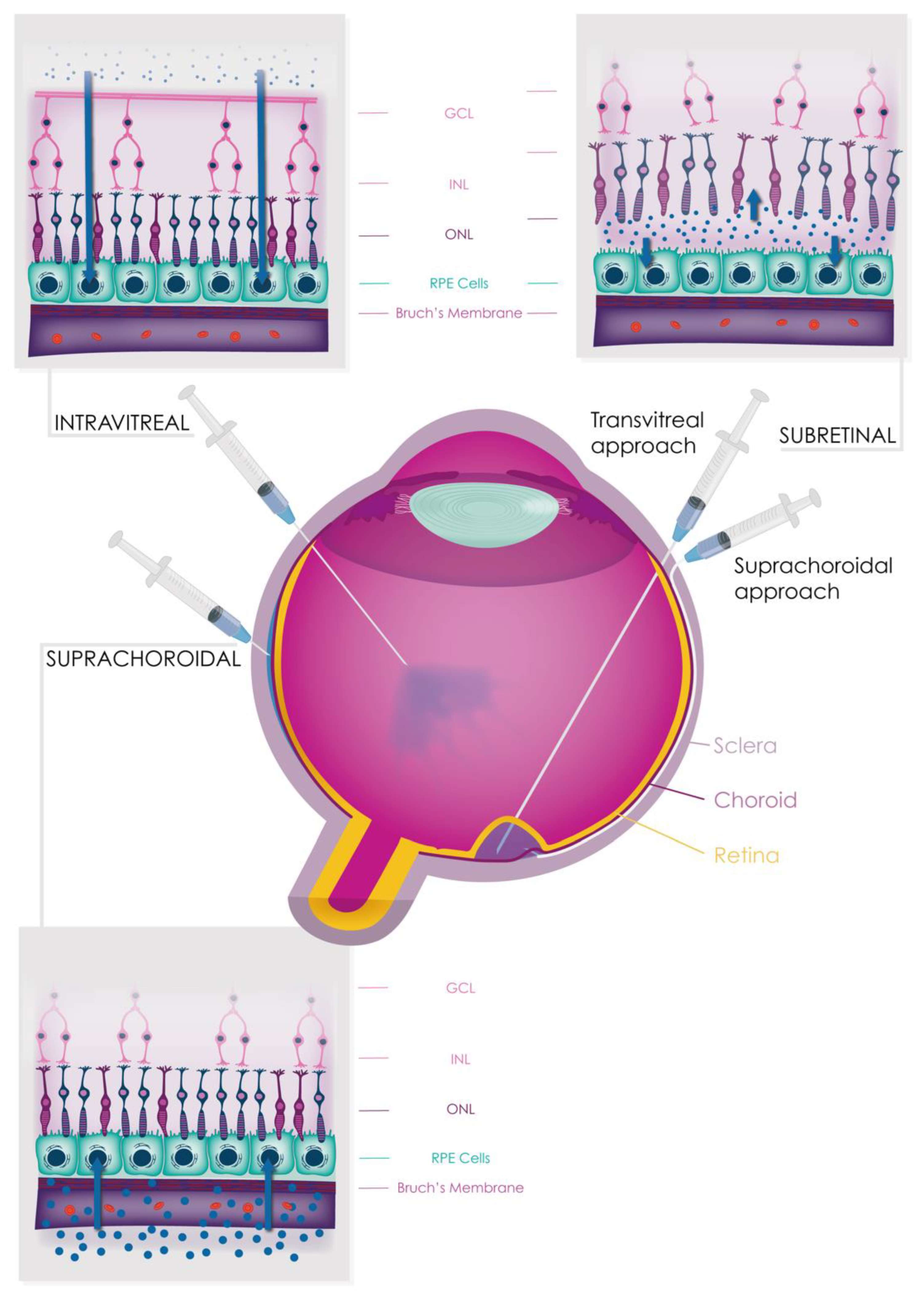 Jcm 12 02870 g006 Jcm 12 02870 g006